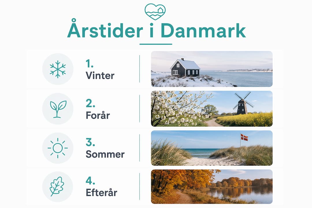 Infografik, der viser årets gang og de danske årstider