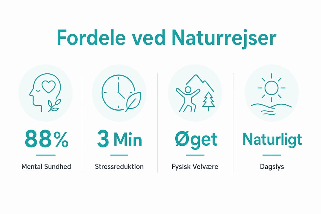 Grafisk oversigt med de vigtigste tal om, hvorfor naturrejser er gavnlige