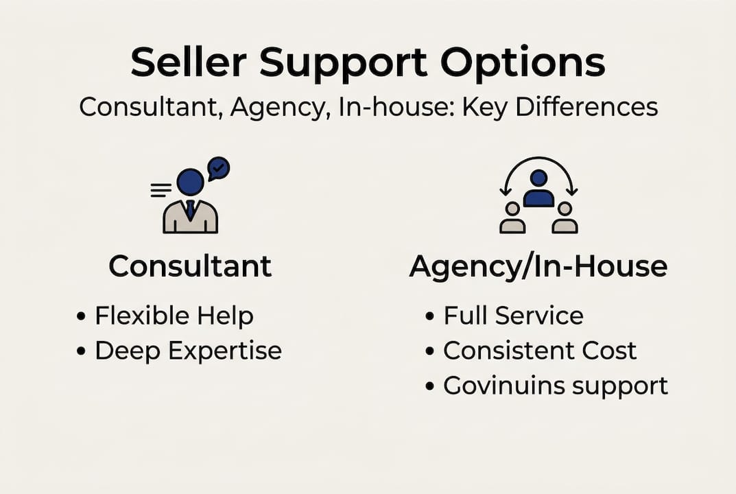 Infographic comparing consultant, agency, in-house options