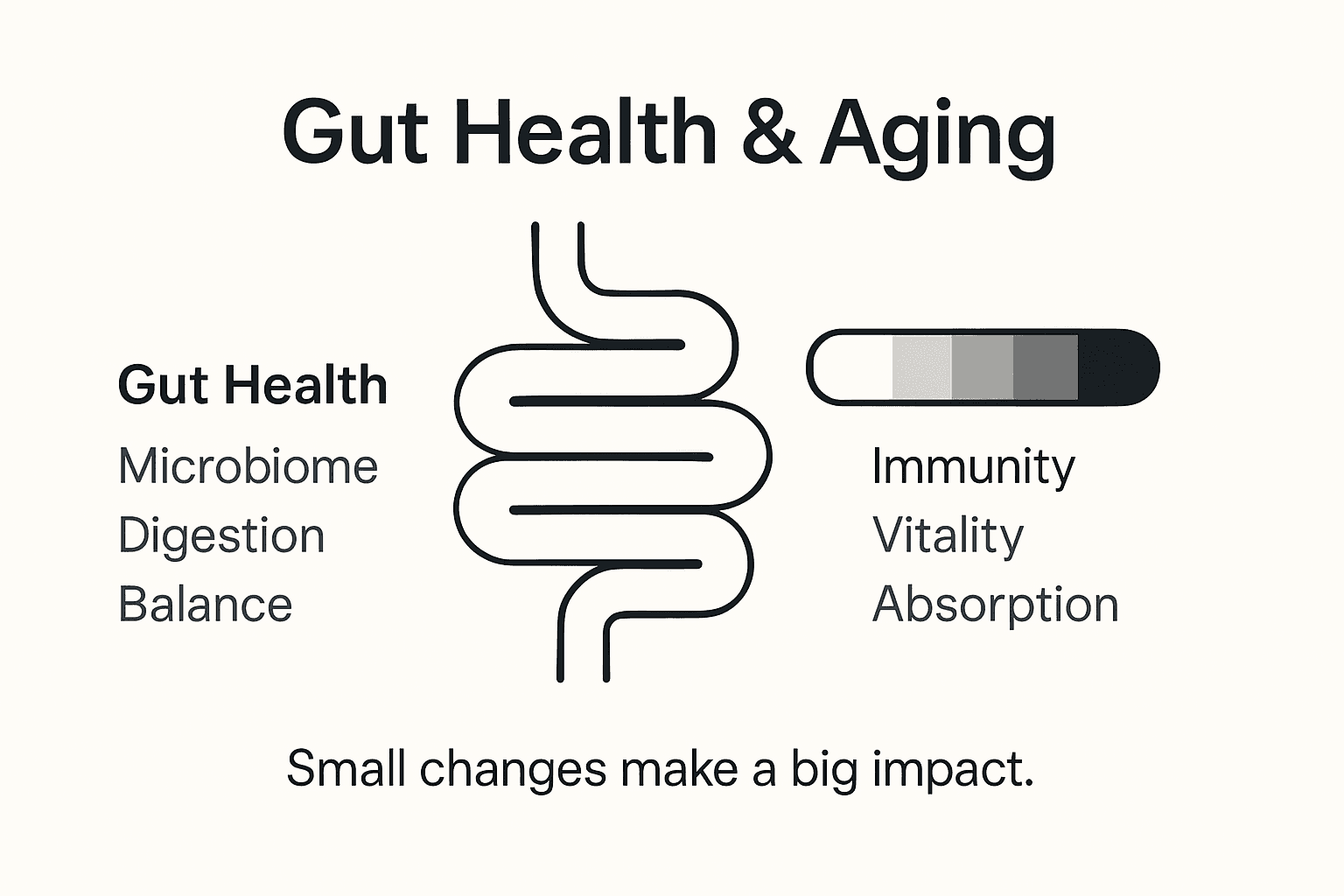 Infographic showing gut health and aging connections