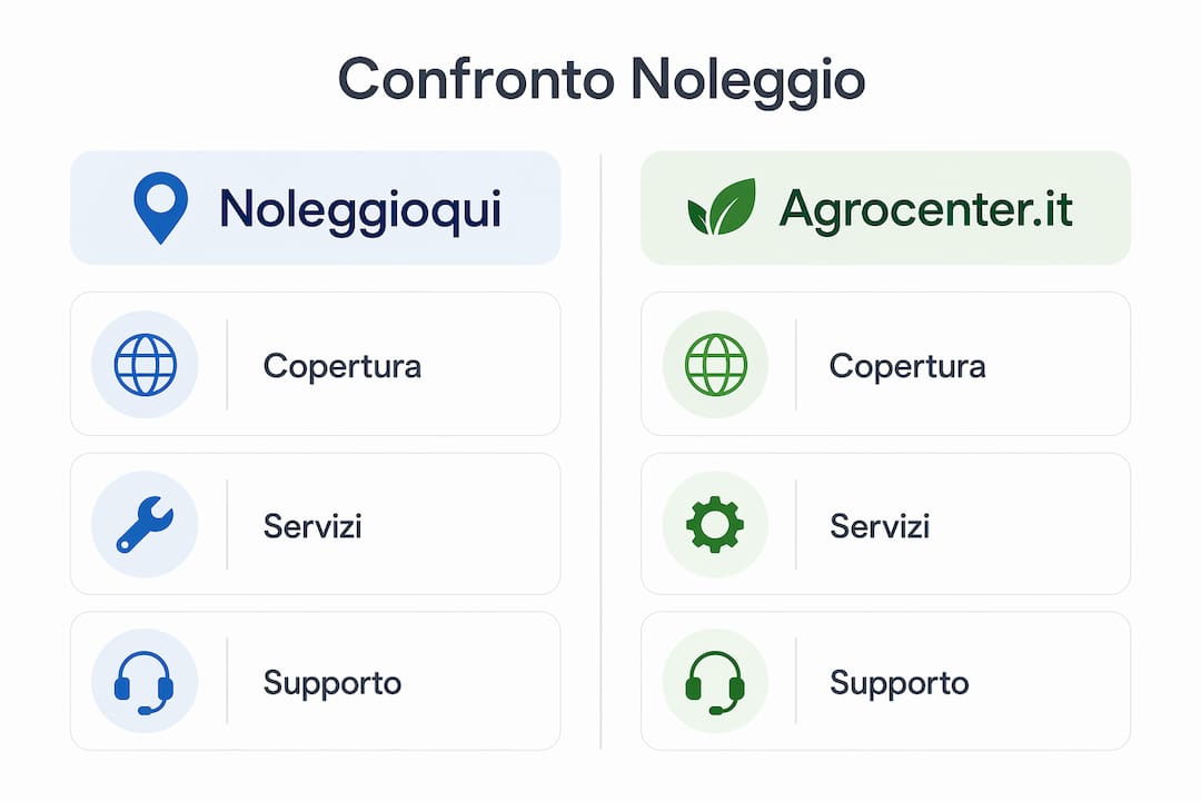 Infografica comparativa delle migliori piattaforme per il noleggio professionale