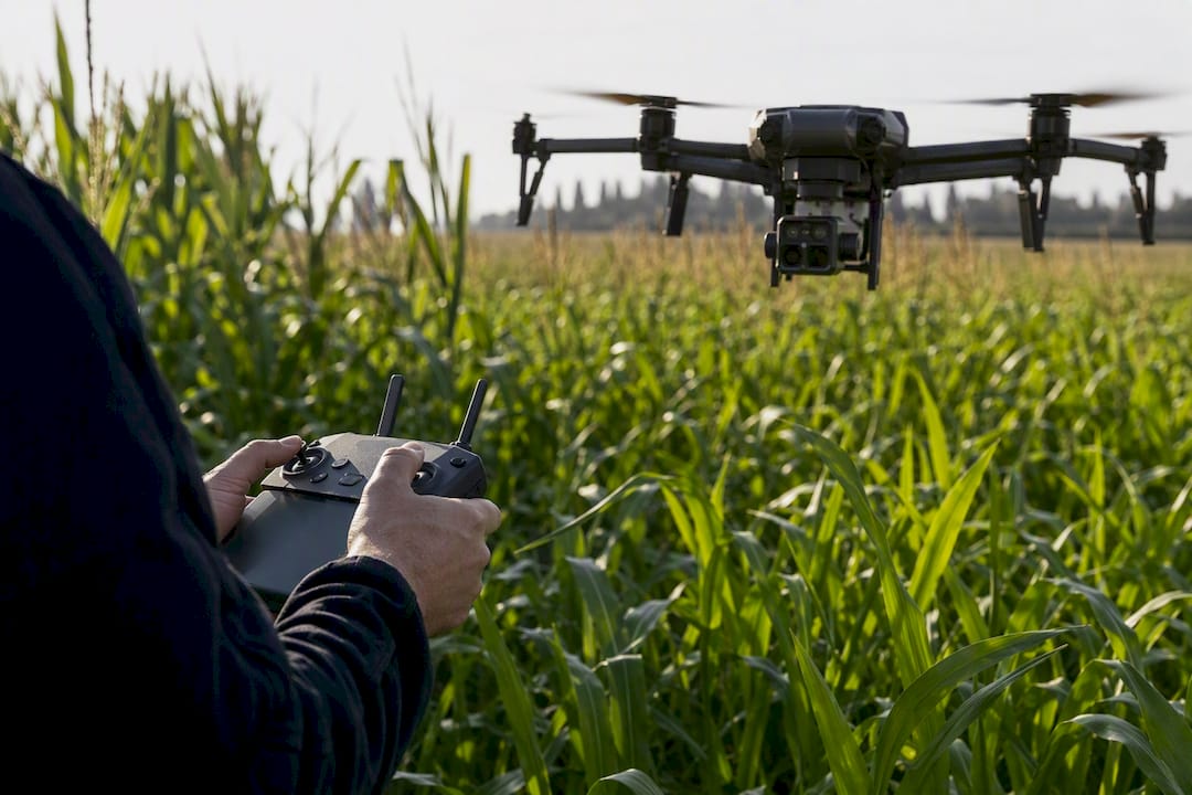 Mani che guidano un drone mentre sorvola i filari di una vigna