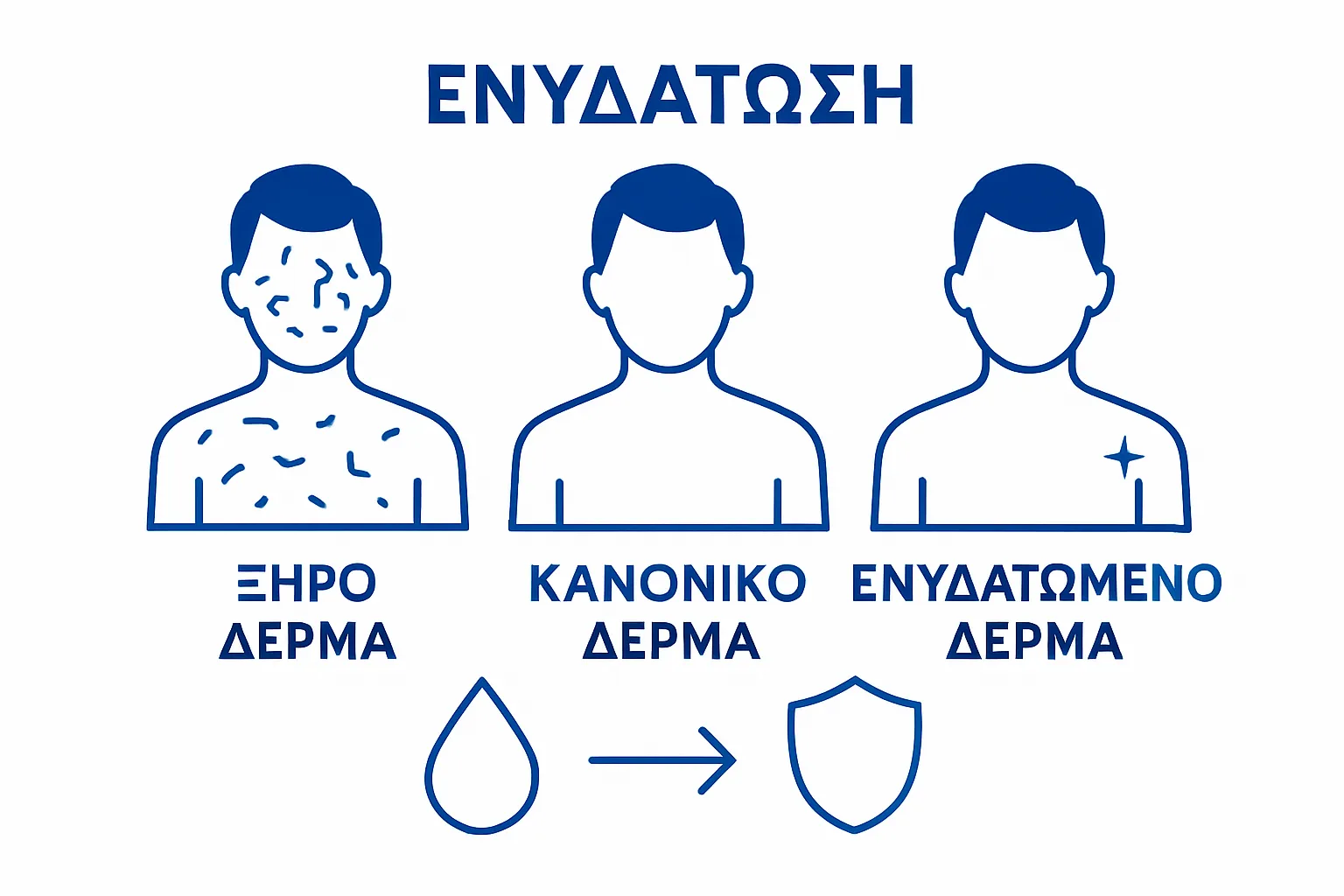 Illustration comparing three skin hydration levels side by side