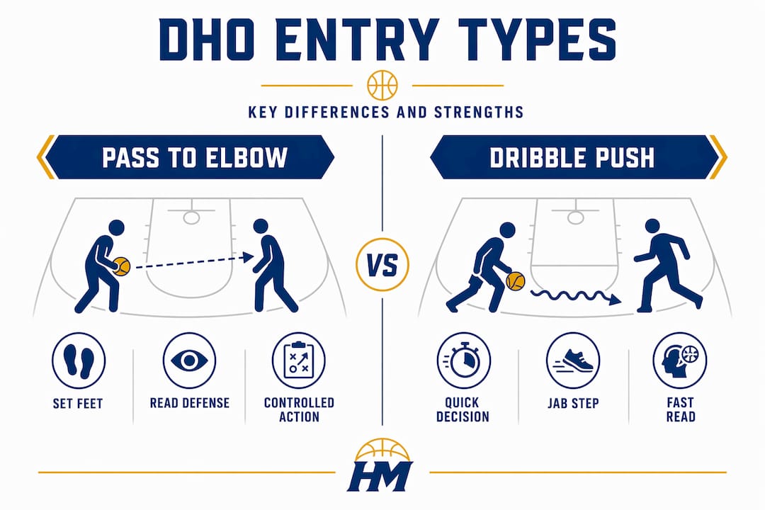 Infographic comparing DHO entry types