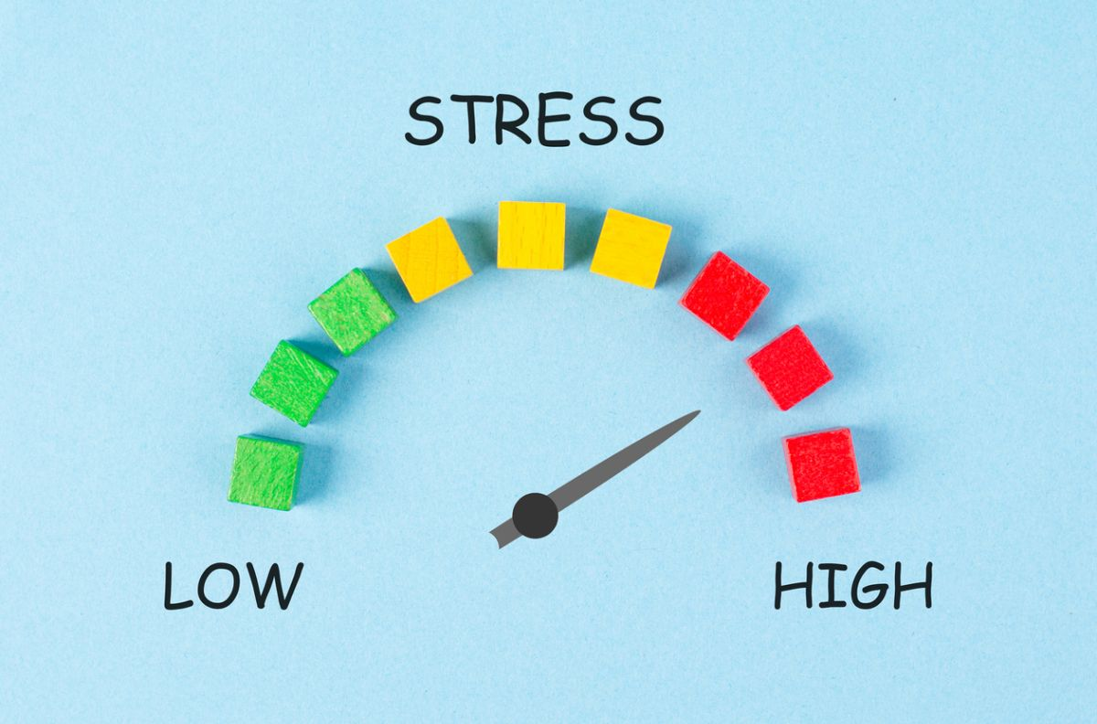 The Impact of Stress on Adult Anxiety & When to Seek Professional ...