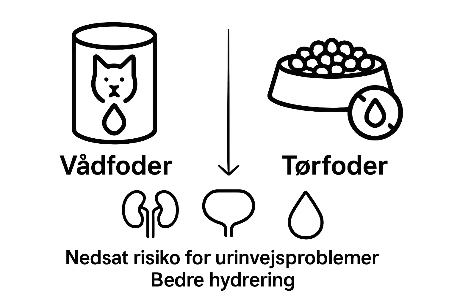Simple comparison of wet vs dry cat food hydration benefits