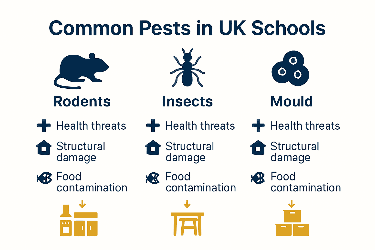 Infographic showing common school pests, associated risks, and main locations.