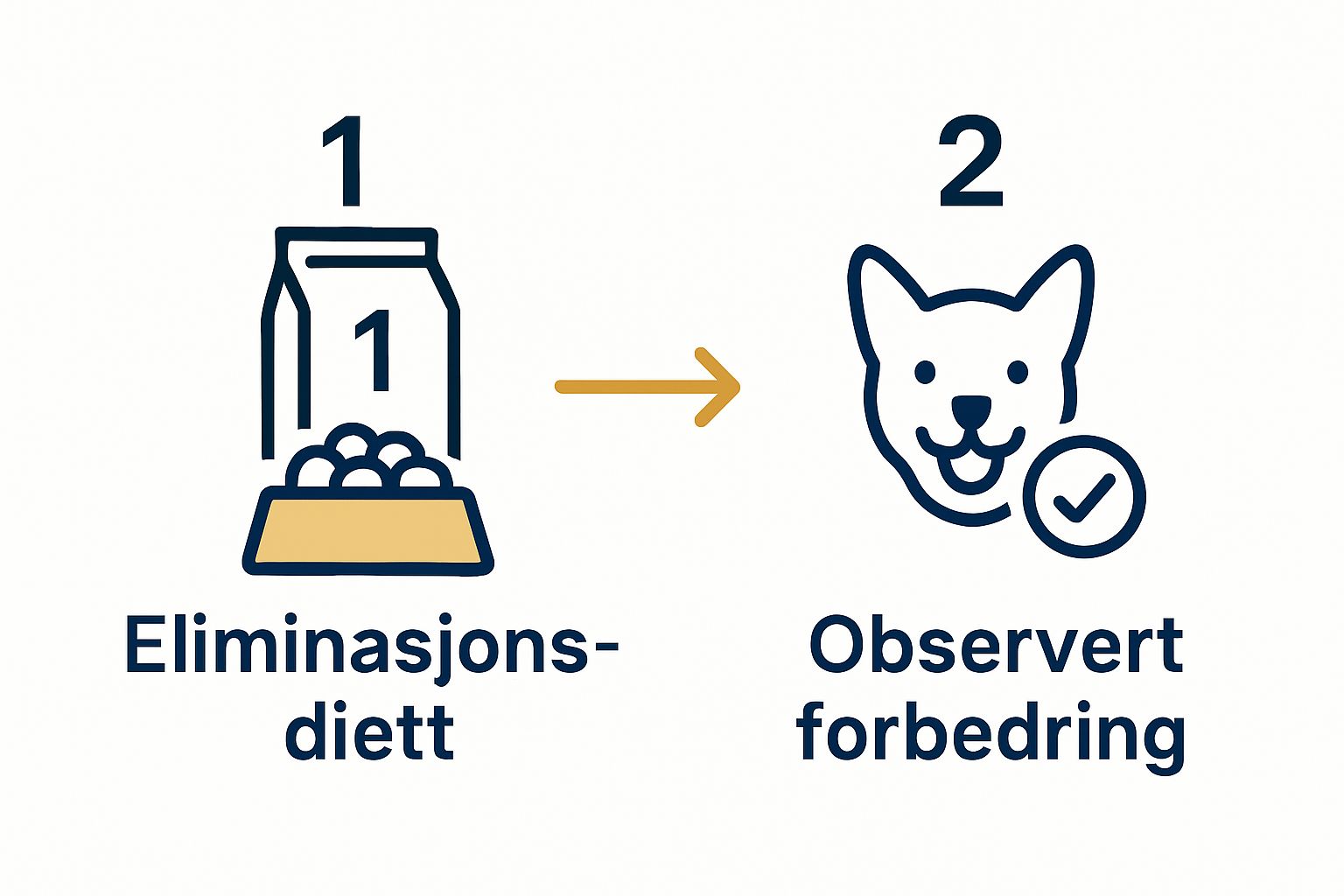 Simple infographic showing food elimination diet followed by improved dog health
