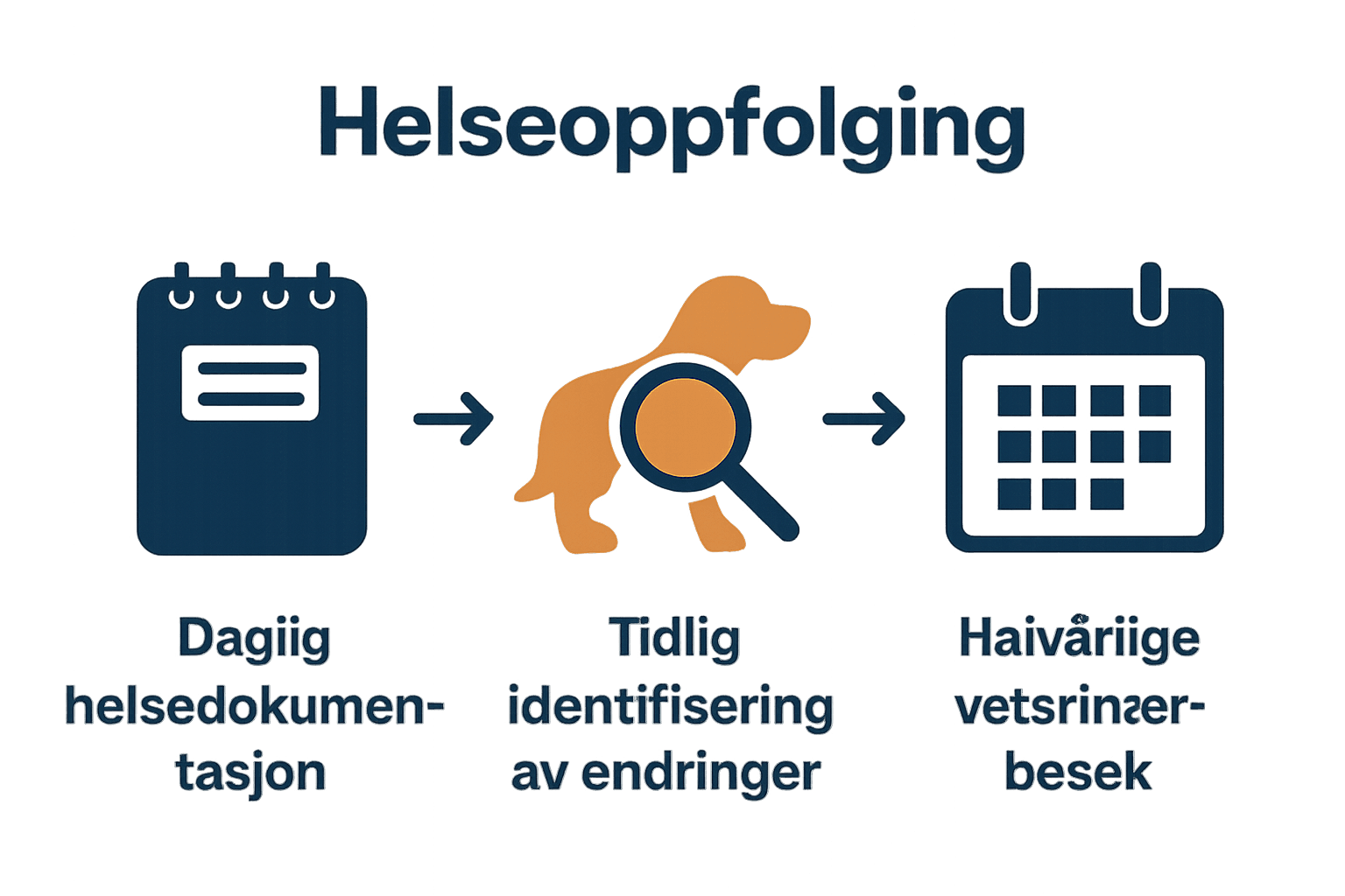 Infografikk om daglig helsedokumentasjon, tidlig oppdagelse, og jevnlige veterinærbesøk for eldre hund.