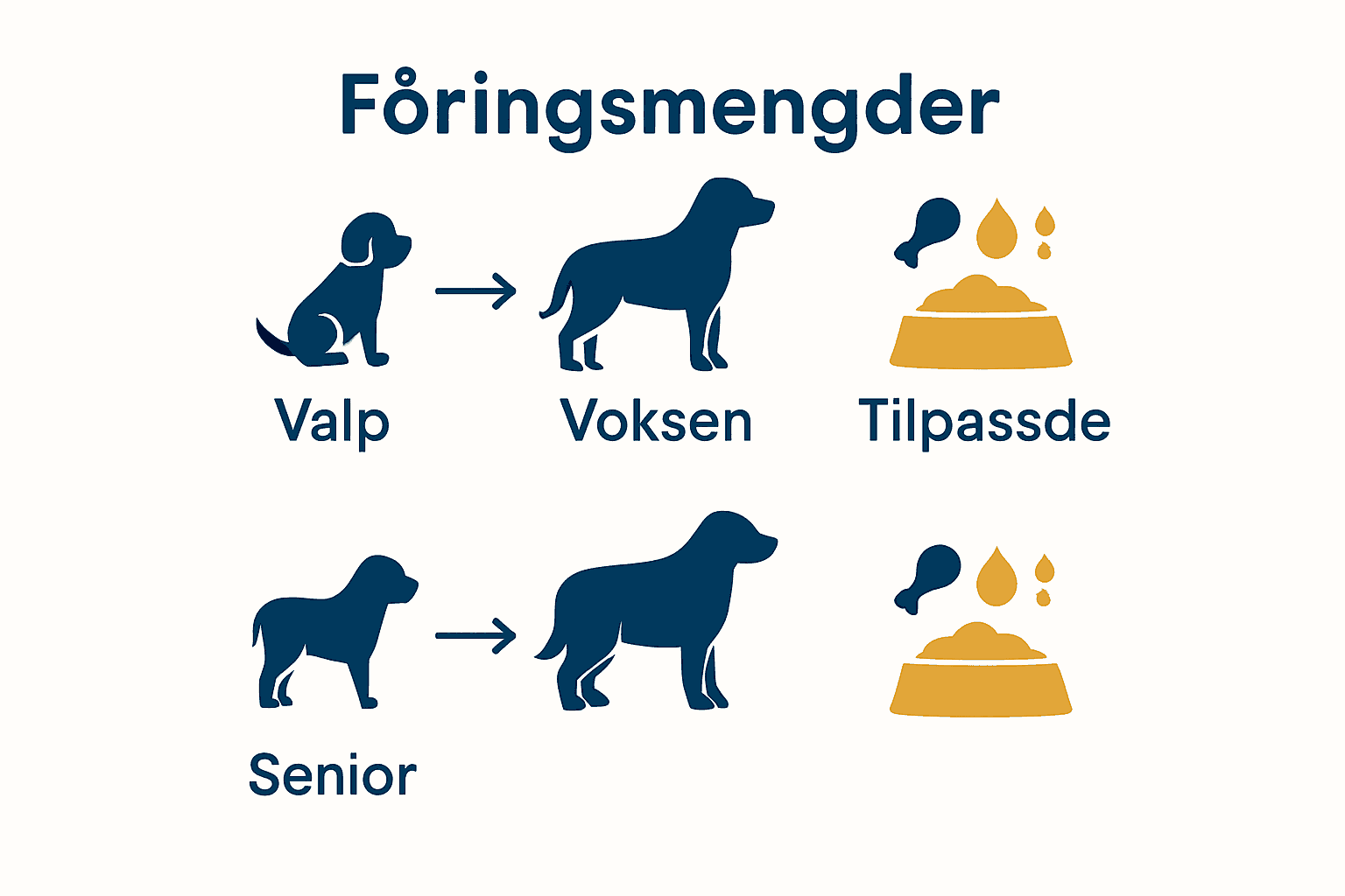 Infografikk som sammenligner hundens ernæringsbehov basert på alder.