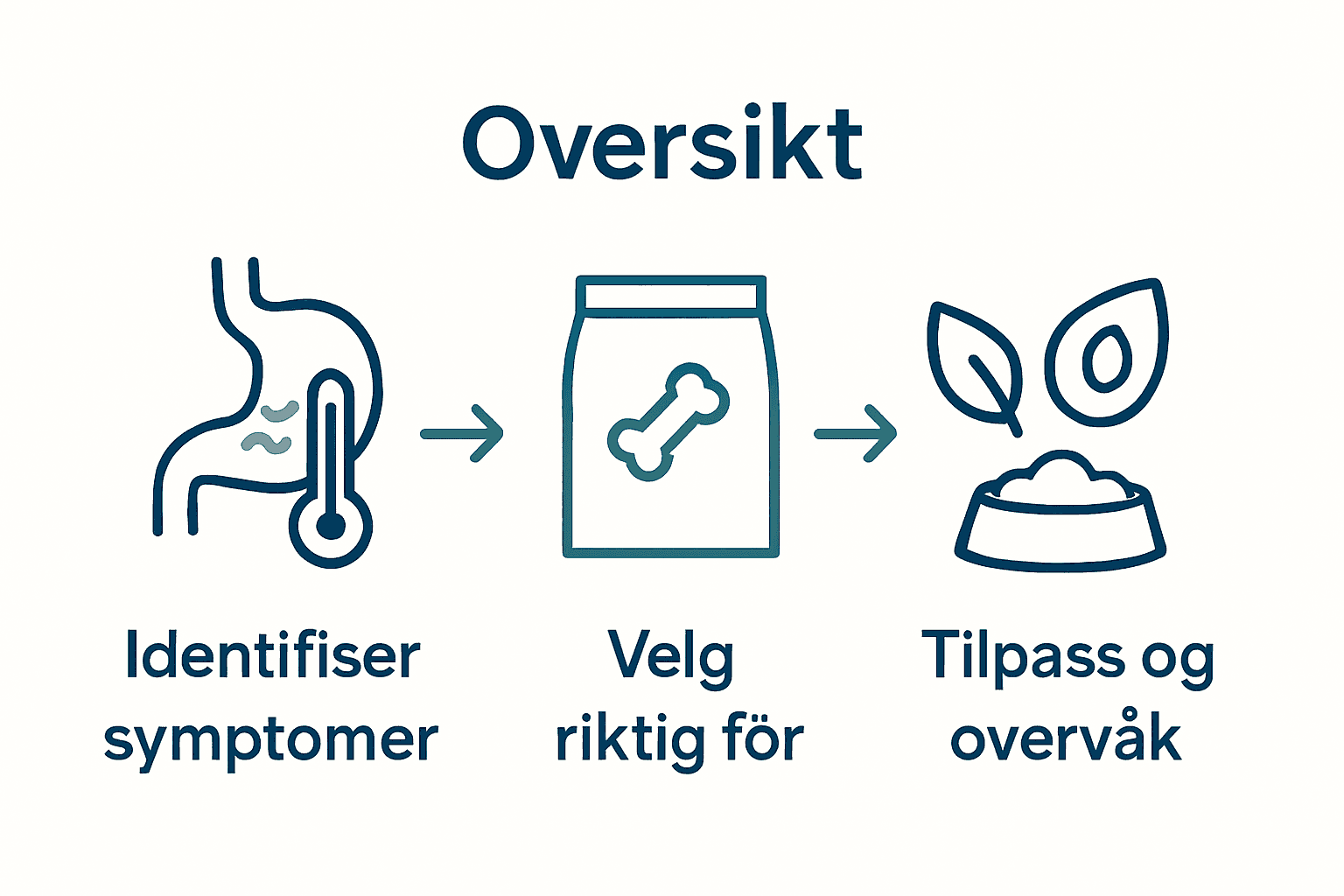 Infografikk med steg for sensitiv mage hos hund: symptom, fôrvalg, porsjonering.