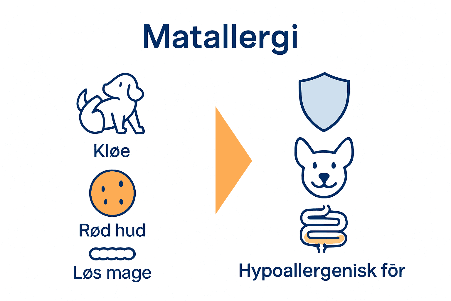 Sammenligning av allergisymptomer og hypoallergenisk fôrforsvar hos hund