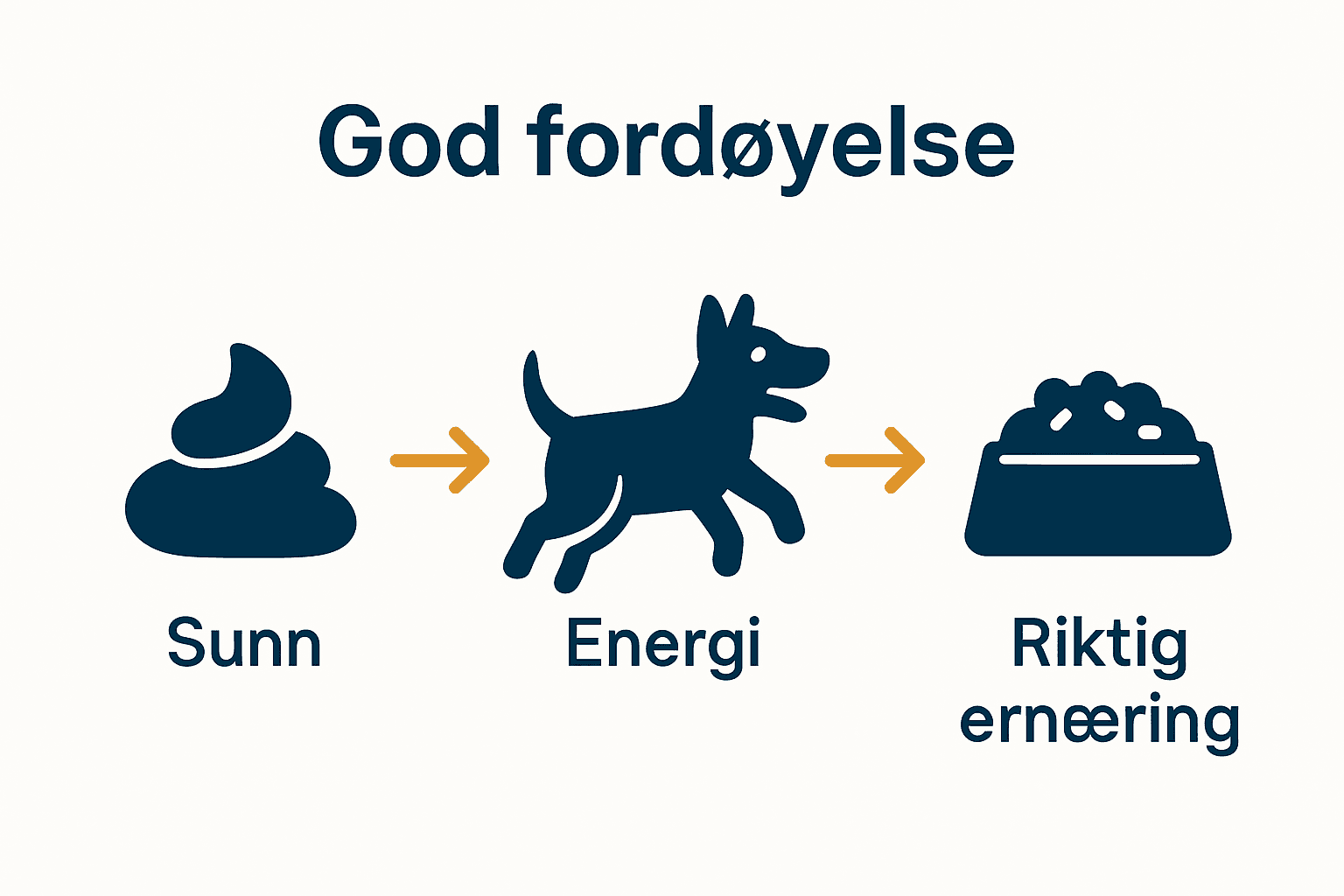 Infografikk over kjennetegn på god fordøyelse hos hund.