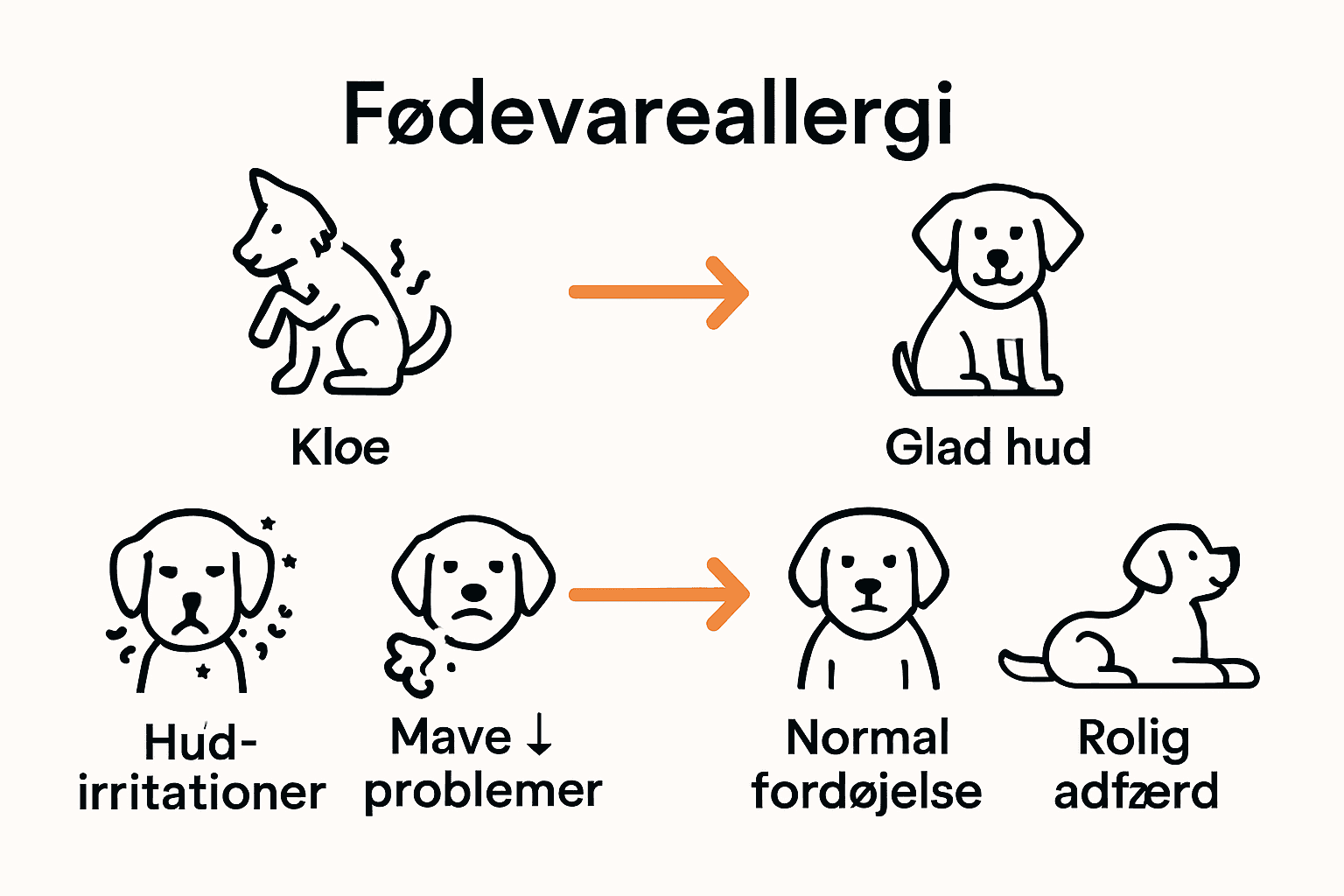 Sammenligning af symptomer før og efter hypoallergen hundefoder