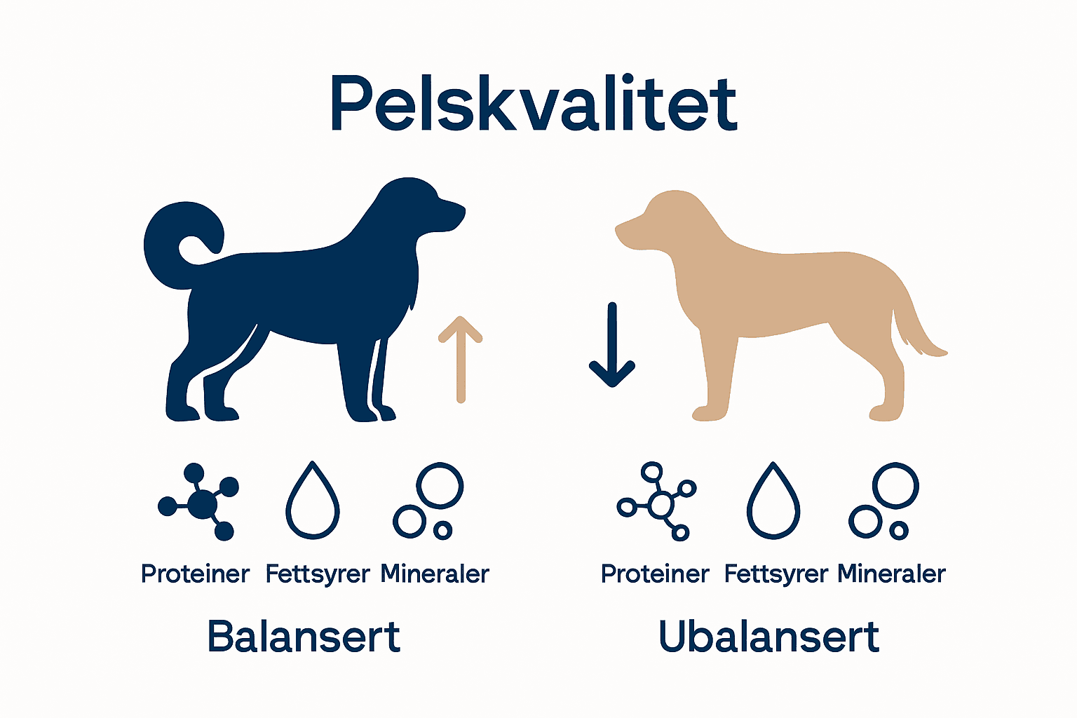 Infografikk sammenligner sunn og usunn hundepels basert på ernæring
