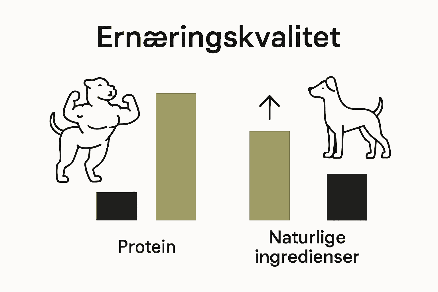 Infografik der sammenligner protein- og ingredienskvalitet i premium og standard hundefoder.