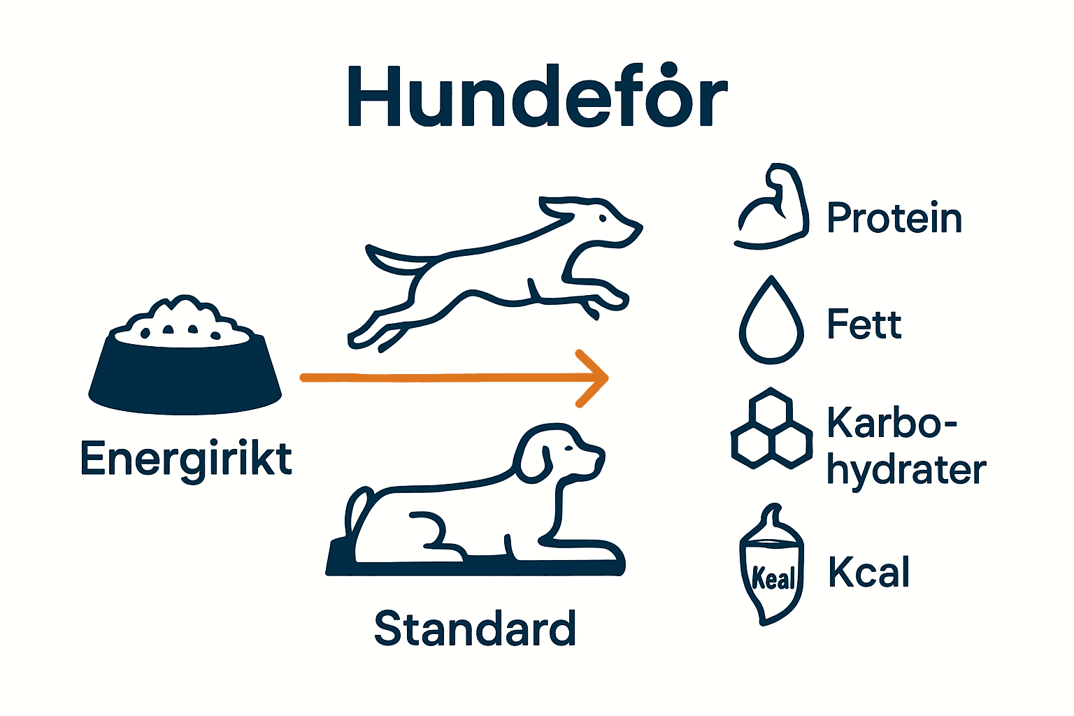 Infografikk som sammenligner energirikt og standard hundefôr for ulike hundetyper.