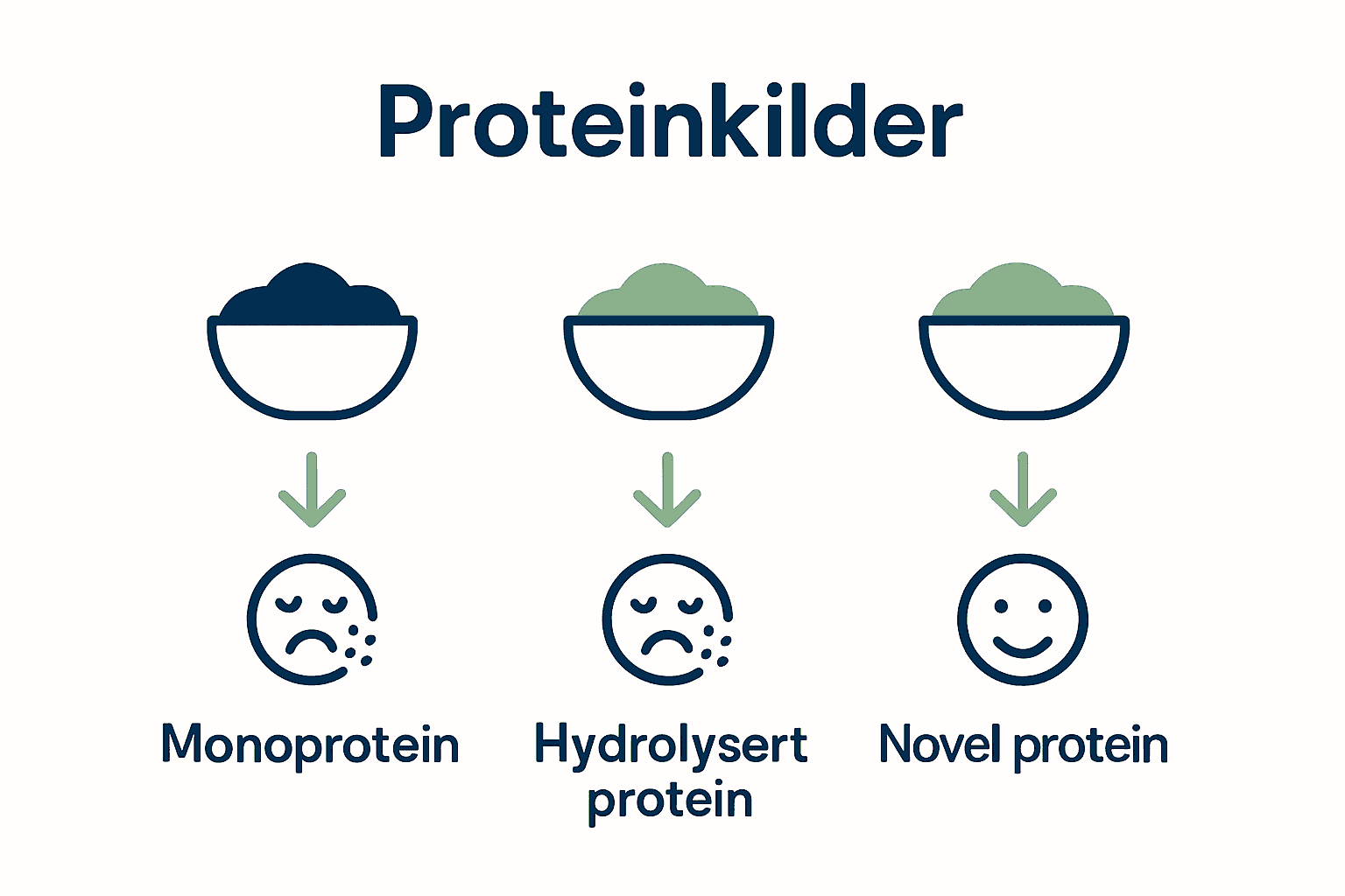Infografikk som viser forskjeller mellom monoprotein, hydrolysert og novel protein i hypoallergen hundemat.