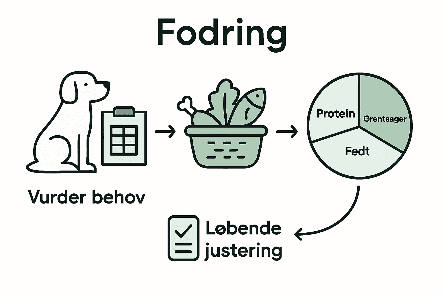 Trinvis guide til balanceret hundemad med ikoner