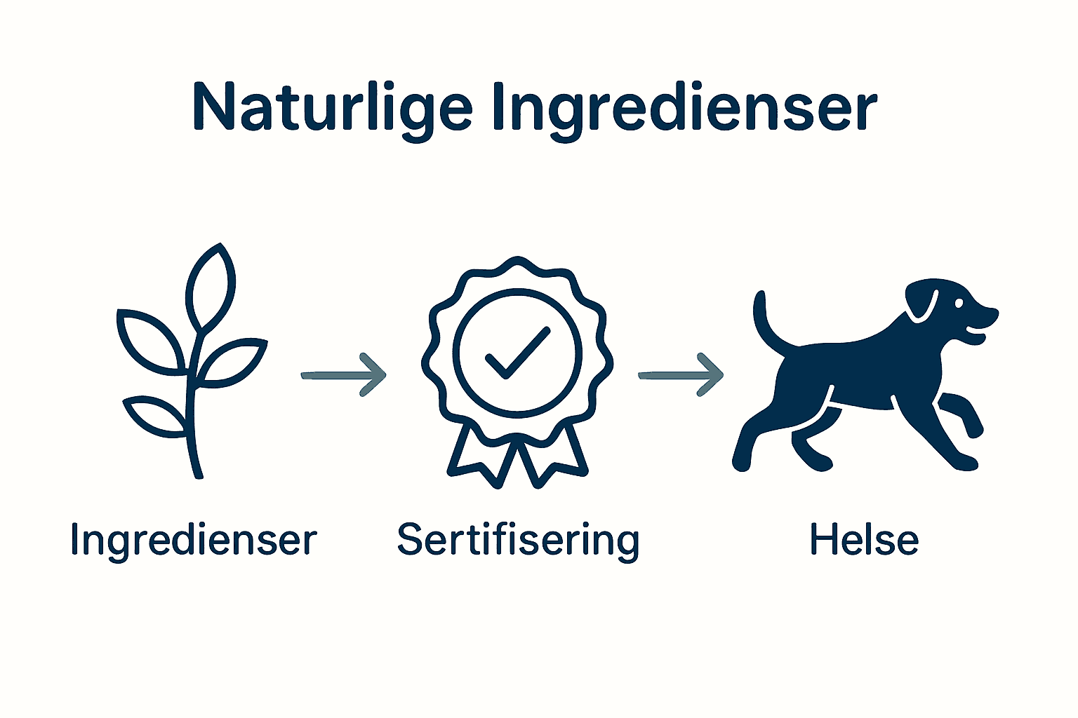 Visuelt sammenligningsbilde: ingredienser, sertifisering og en sunn hund