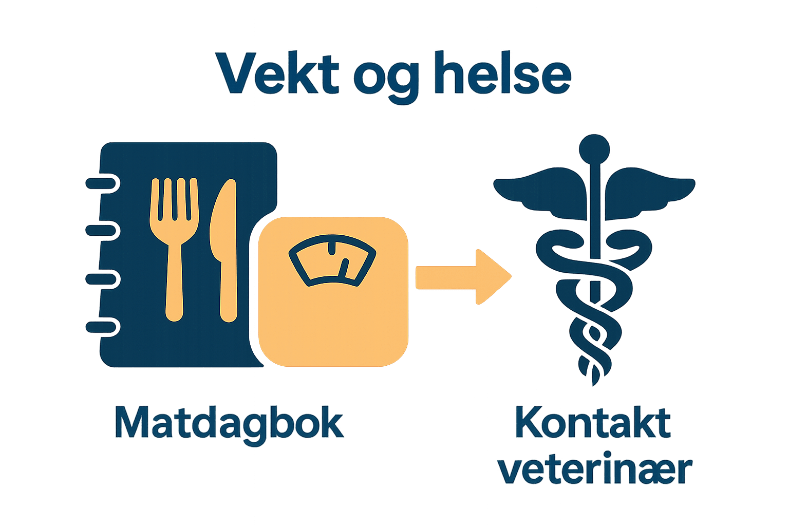 Infografikk overvåking av hundens spisevaner