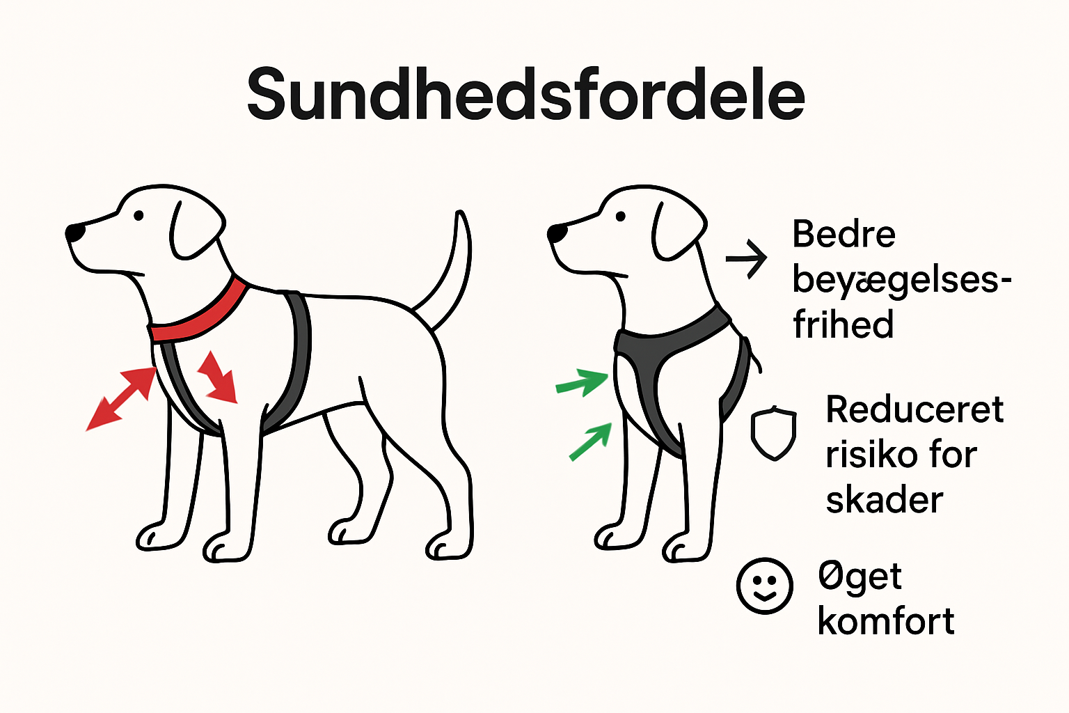 Infografik: trykfordeling på hundens krop med traditionel vs. ergonomisk sele