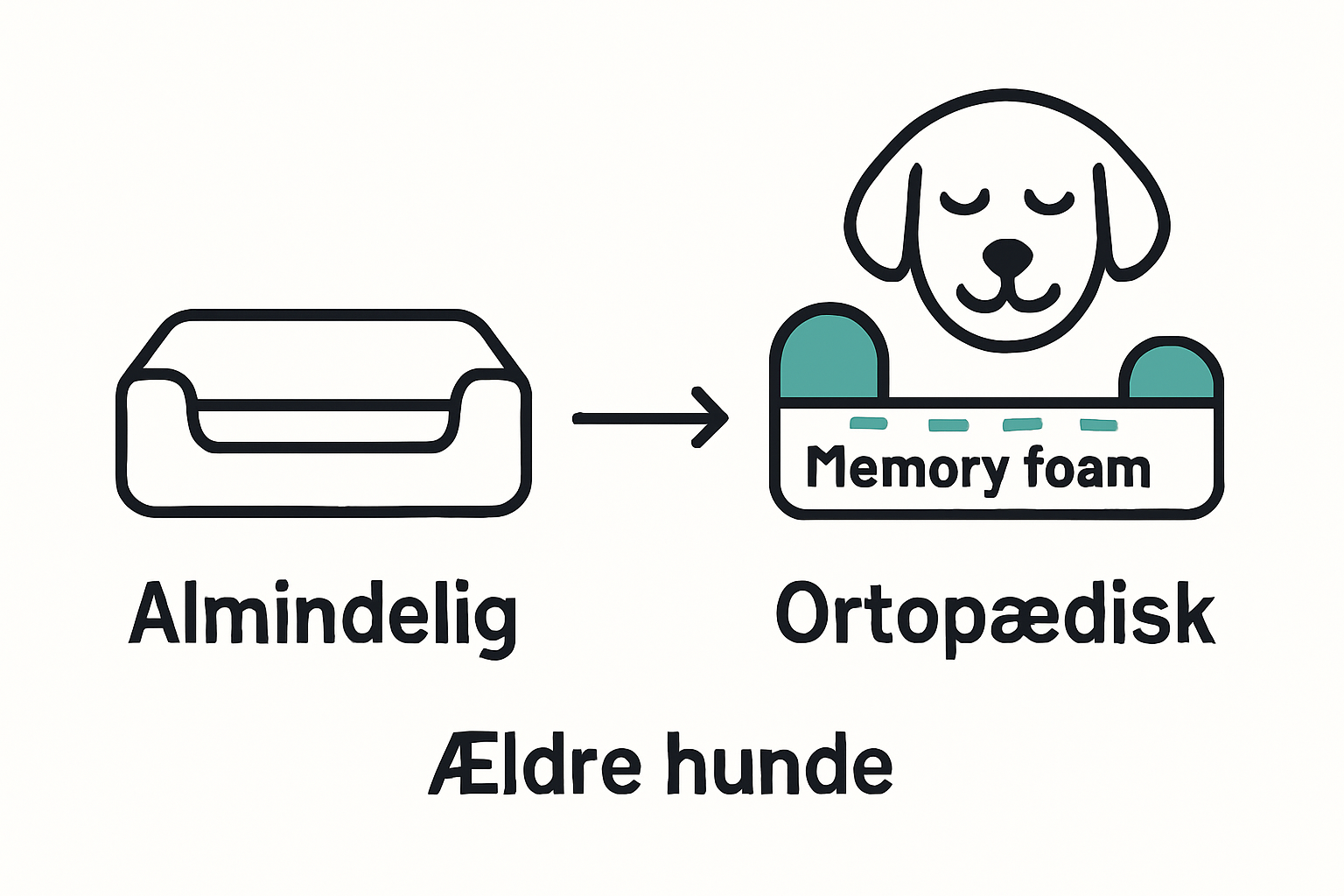 Fordele ved ortopædisk hundeseng