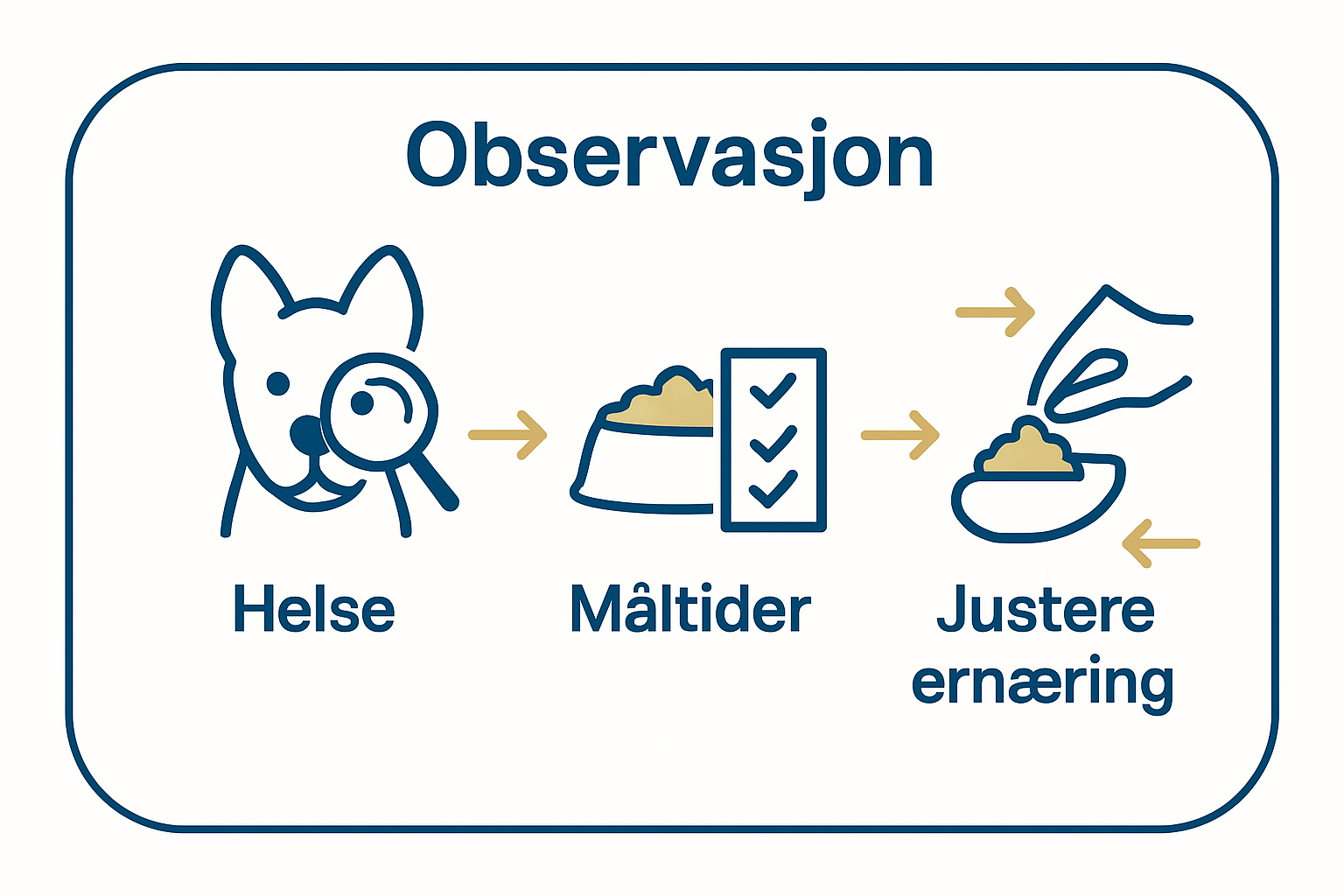 Infographic showing steps for dog nutrition adjustment