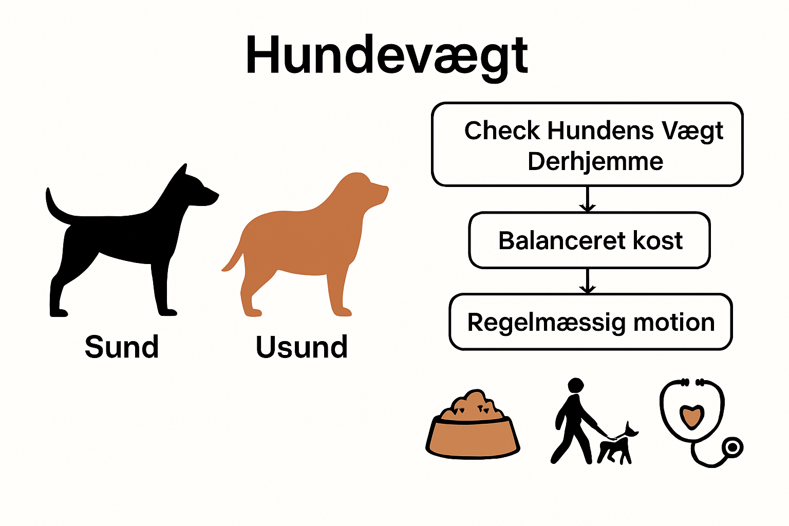 Infographic shows healthy dog weight process