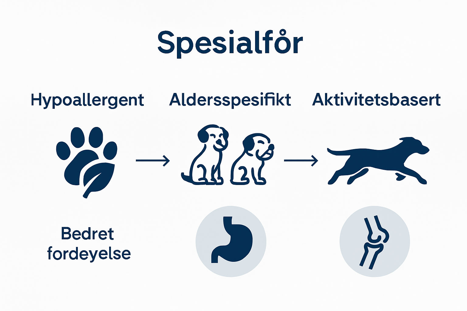 Infographic showing different specialty dog food types