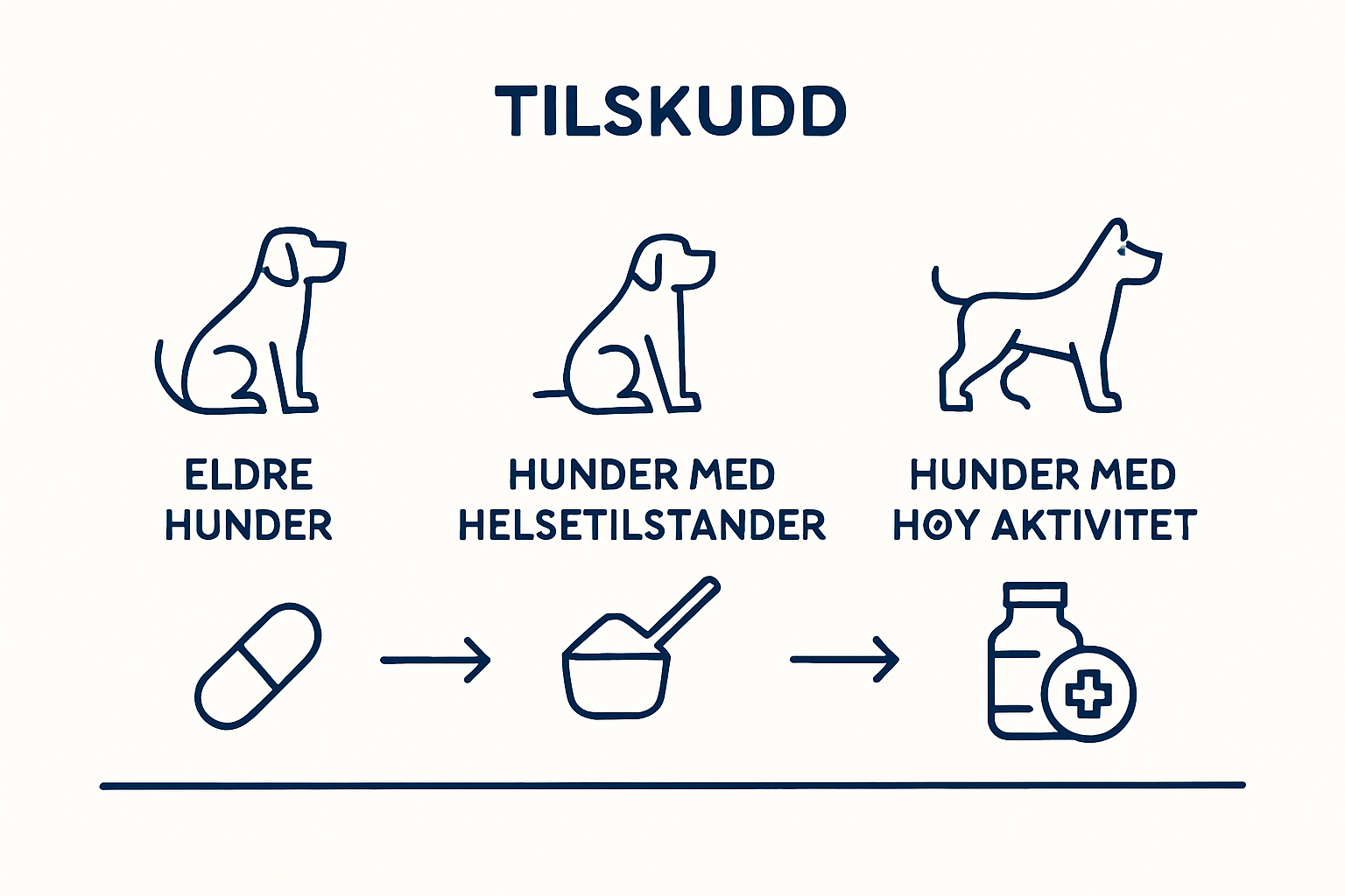 Infographic showing dogs’ supplement needs