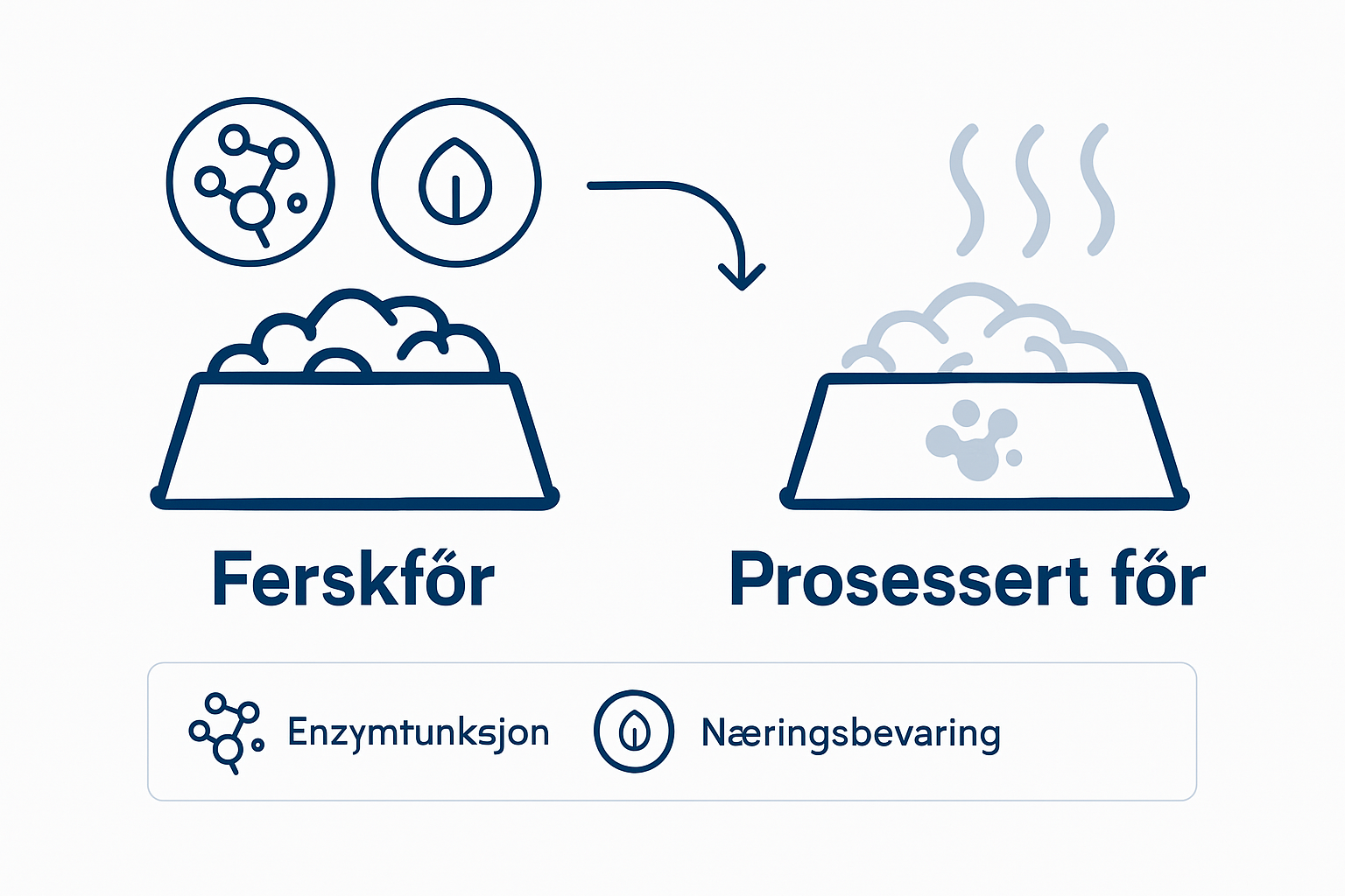 Infografikk: Enzymer i fersk kontra bearbeidet hundemat