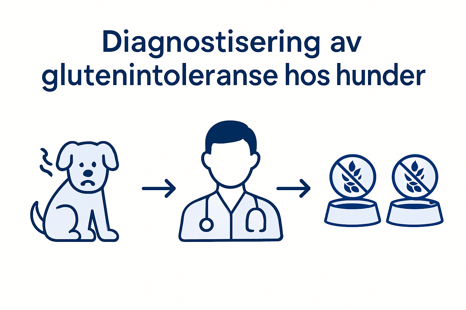 Slik går du frem for å finne ut om hunden din har glutenintoleranse – en trinnvis guide