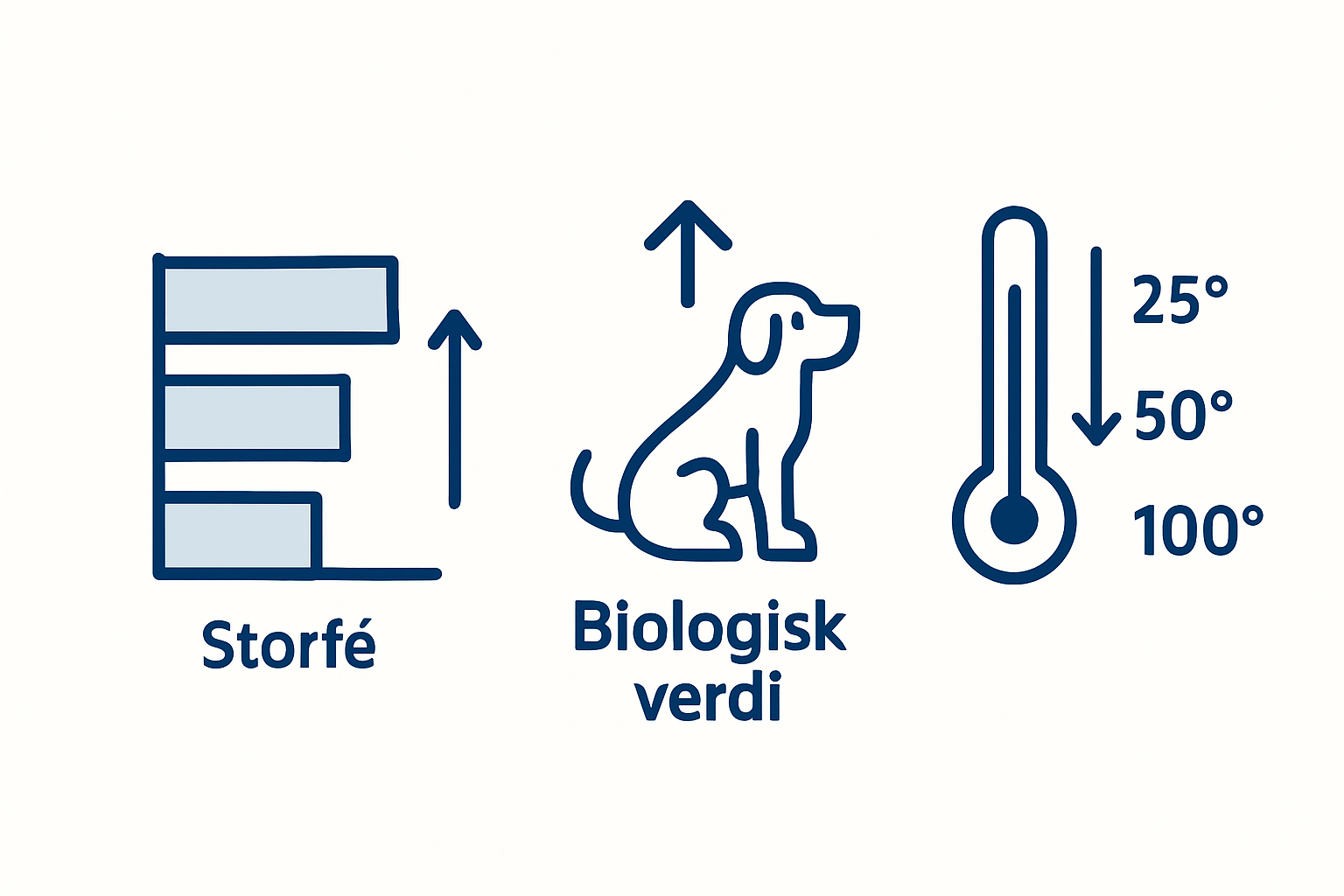 Infografikk: Slik vurderer du kvaliteten og opptaket av protein