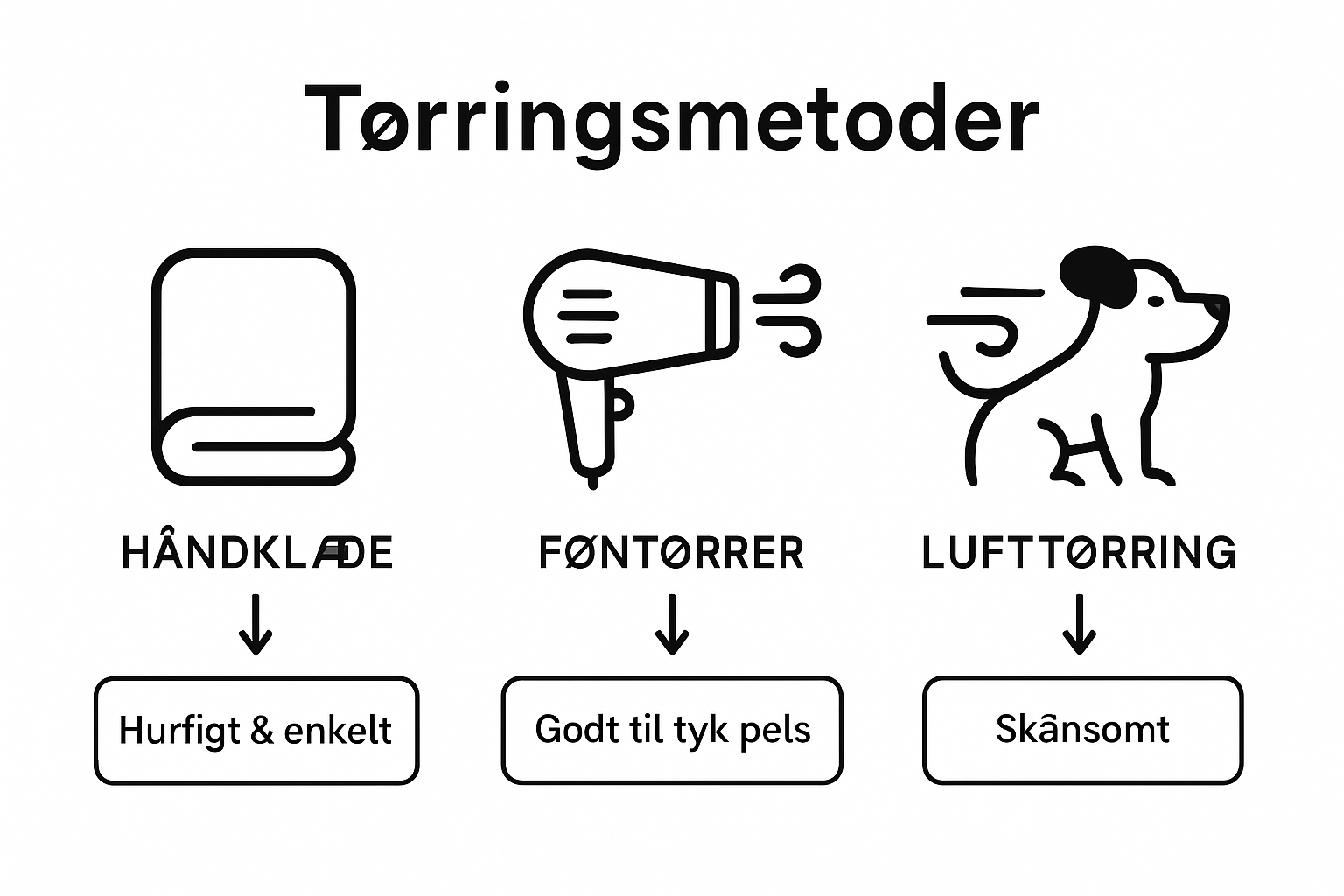 Guide: Sådan tørrer du din hund efter badet – forskellige metoder i infografik