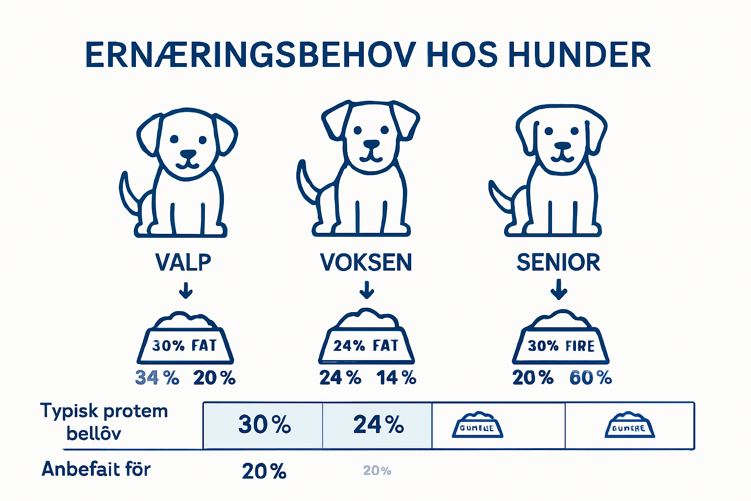 Infografikk: Oversikt over glutenfritt hundefôr til ulike aldersgrupper