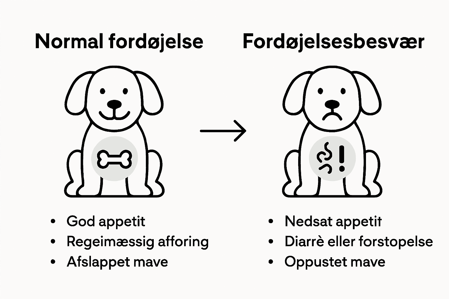 Infografik: Sådan adskiller en almindelig hundemave sig fra en sart mave hos hunde