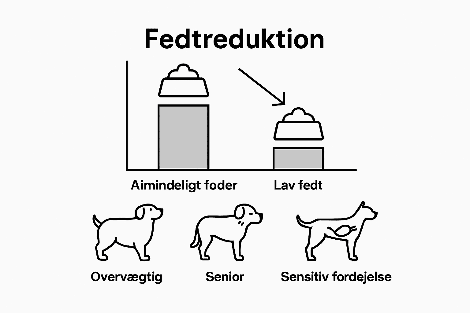 Oversigt: Fordele ved almindeligt hundefoder kontra fedtreduceret – hvad skal du vælge til din hund?