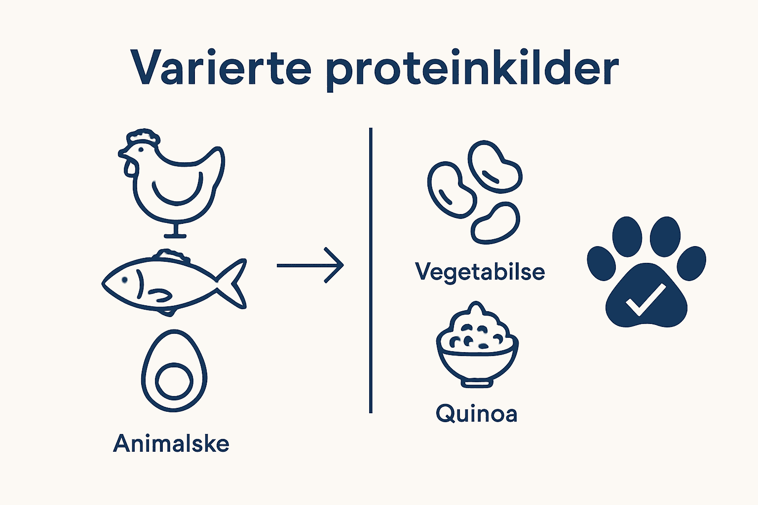 Infografikk: Dyreprotein eller planteprotein – hva er best for hunden din?