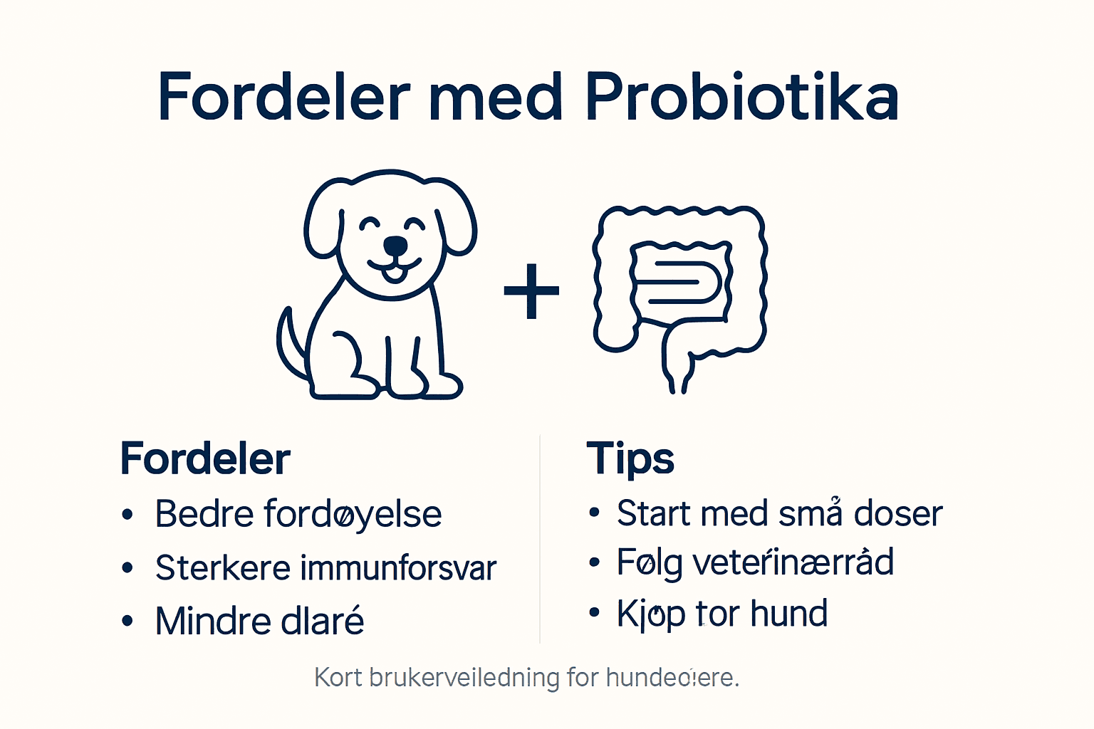 Oversiktlig infografikk: Viktige fakta om probiotika til hund