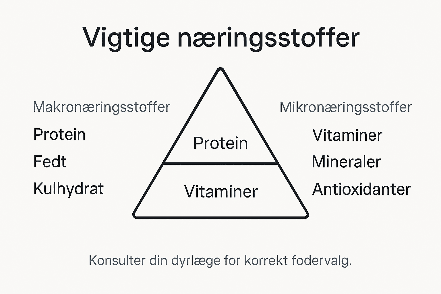 Se vores infografik, hvor du får et overblik over de vigtigste næringsstoffer, din hund har brug for.