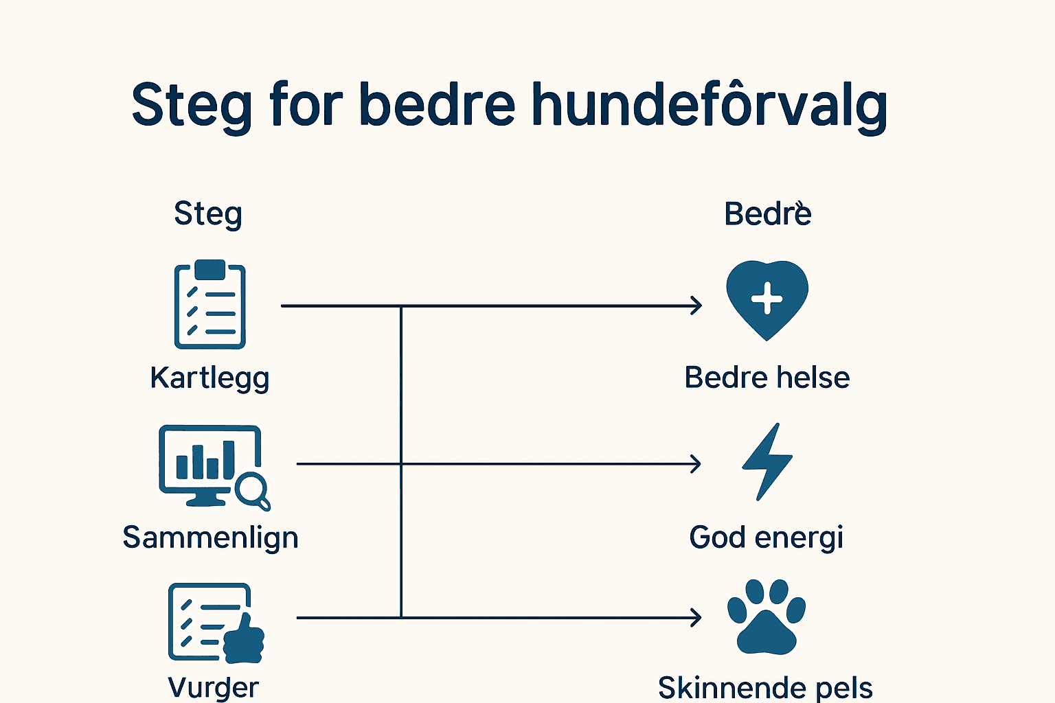 Visuell guide: Slik finner du riktig hundemat, steg for steg