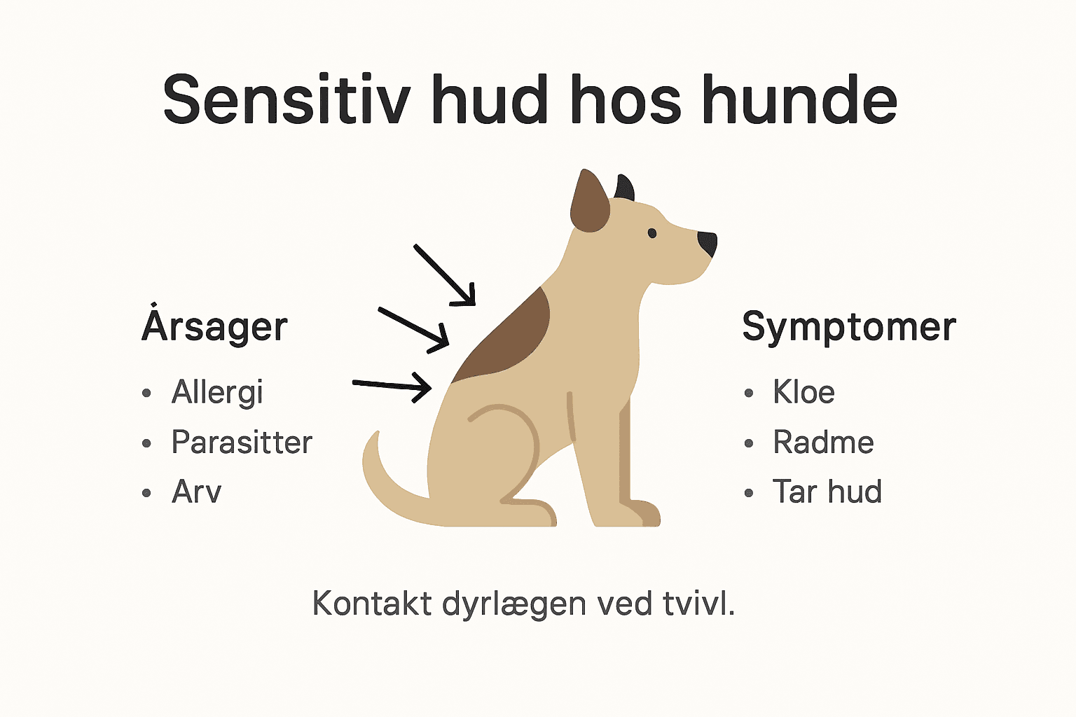 Grafisk oversigt: Sådan genkender du sensitiv hud hos din hund