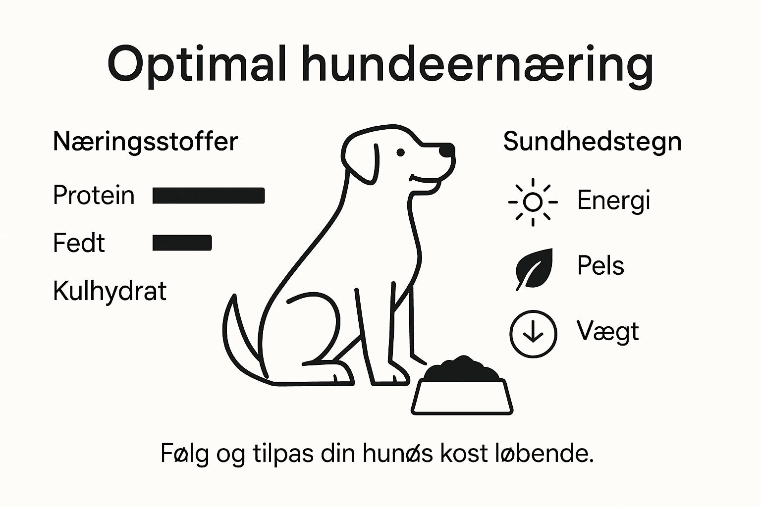 Infografik: Få styr på din hunds kost og ernæringsbehov