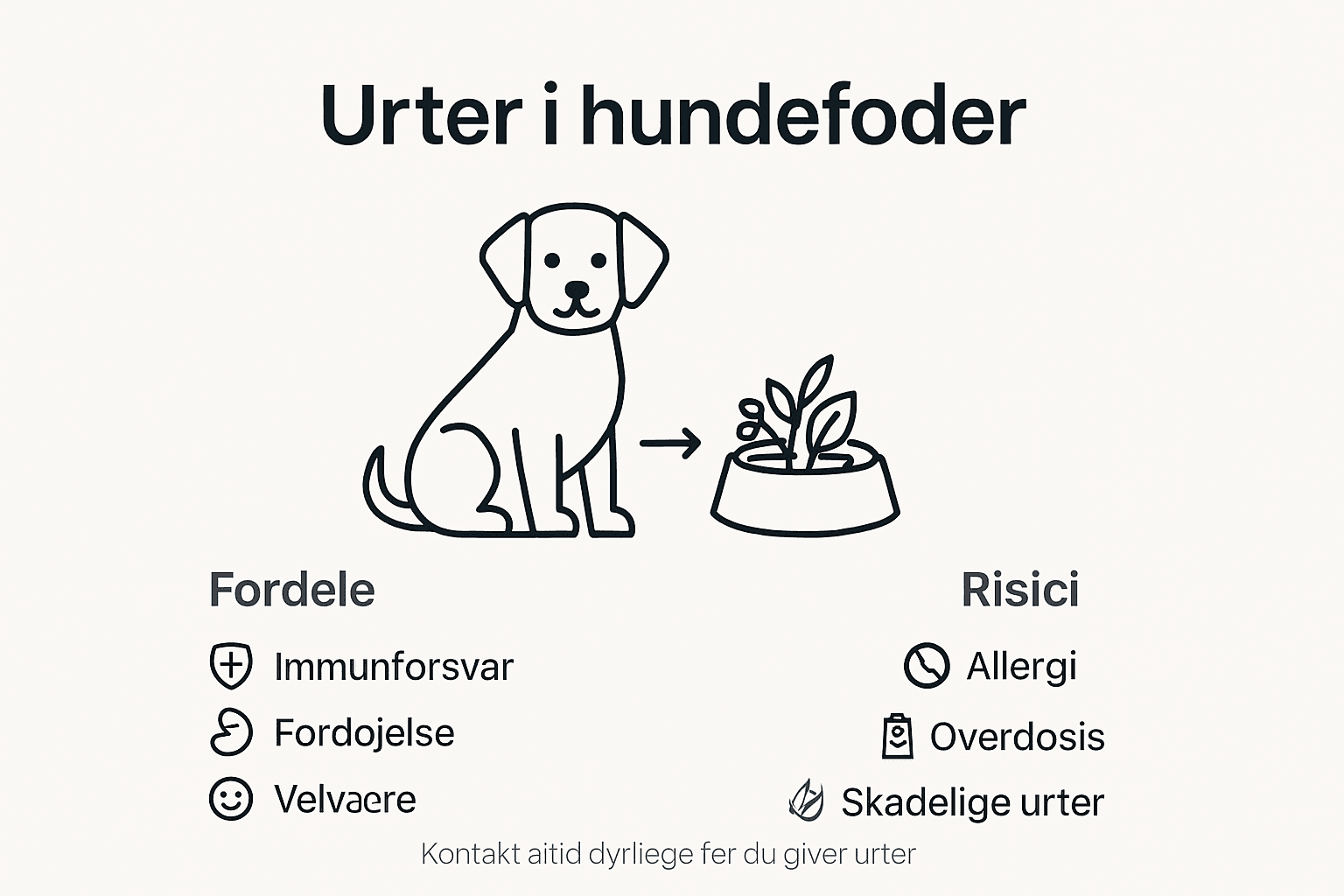 Infografik: Urter i hundemad – fordele og faldgruber