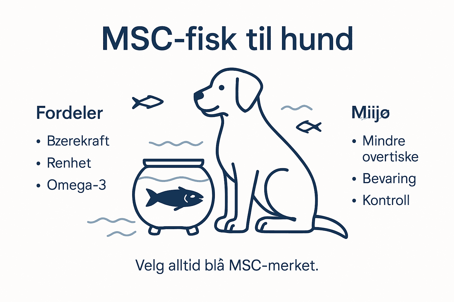 Infografikk: Derfor bør du velge MSC-merket sjømat – fordeler for både deg og miljøet
