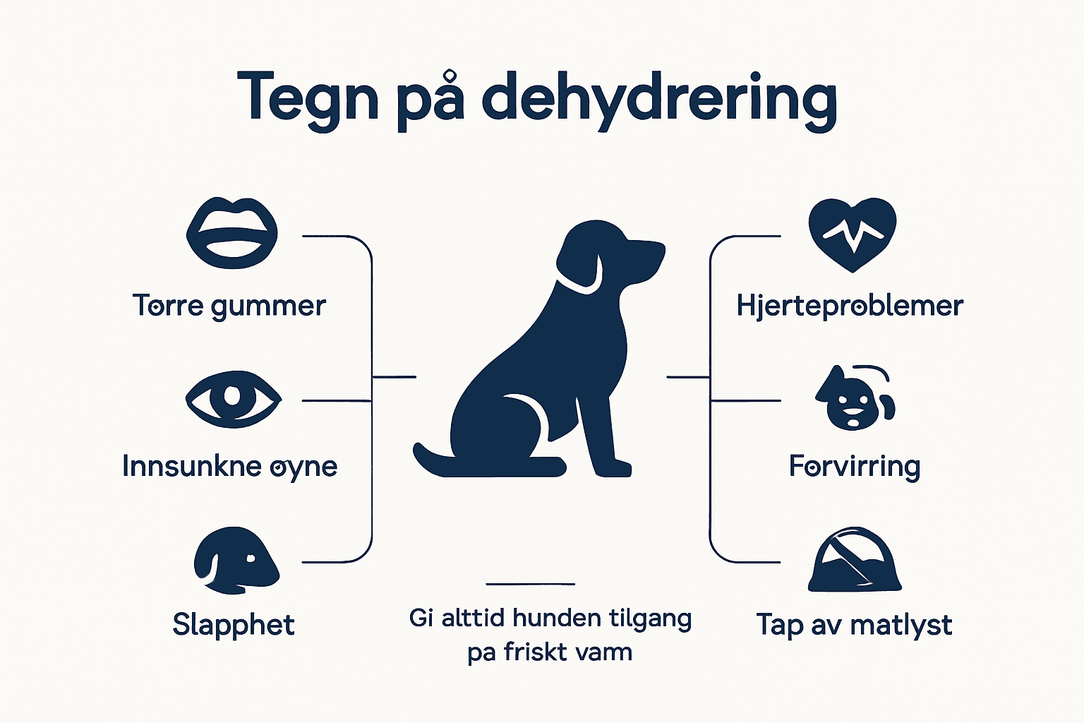 Infografikk: Symptomer på dehydrering hos hund – dette bør du være oppmerksom på
