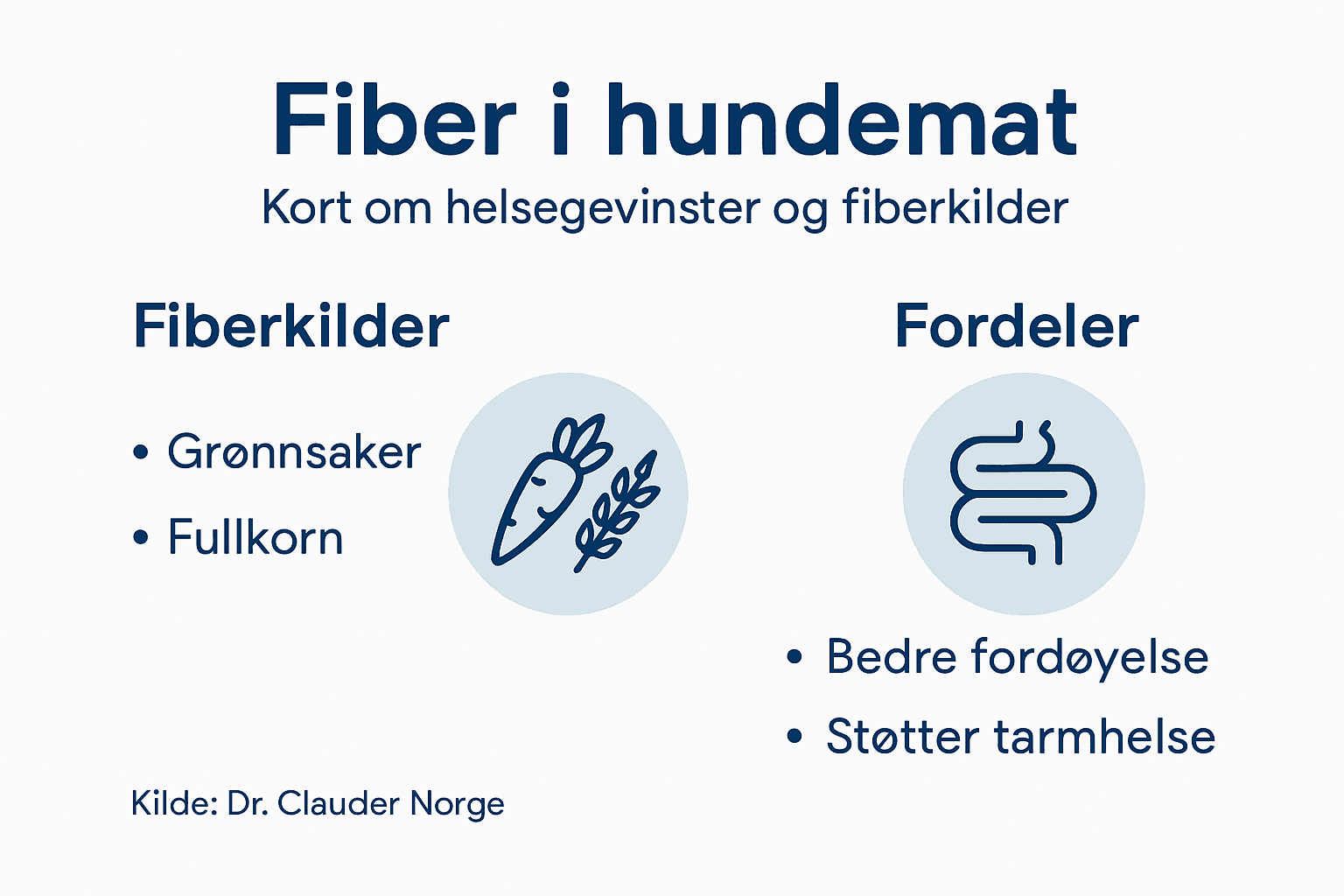 Infografikk: Derfor er fiber viktig for hundens helse