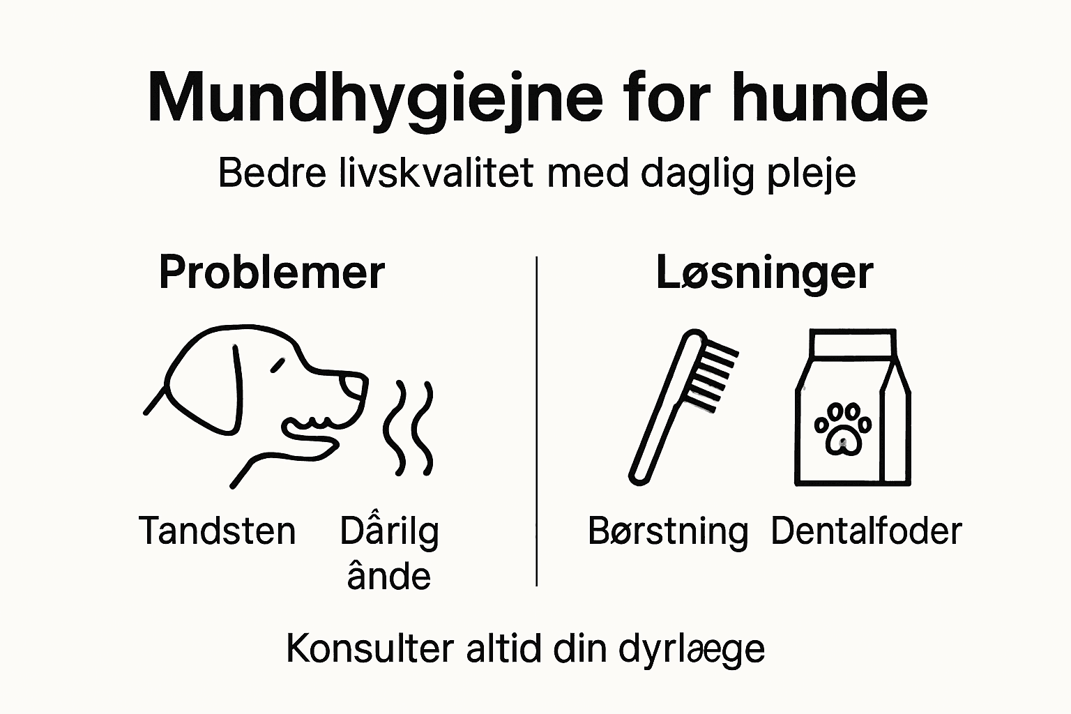 Oversigt: Sådan holder du din hunds tænder sunde – gode råd og løsninger