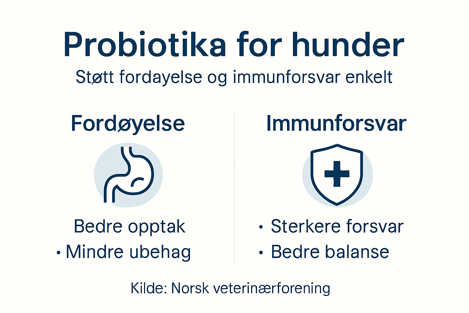 Infografikk: Derfor kan probiotika være bra for hunden din